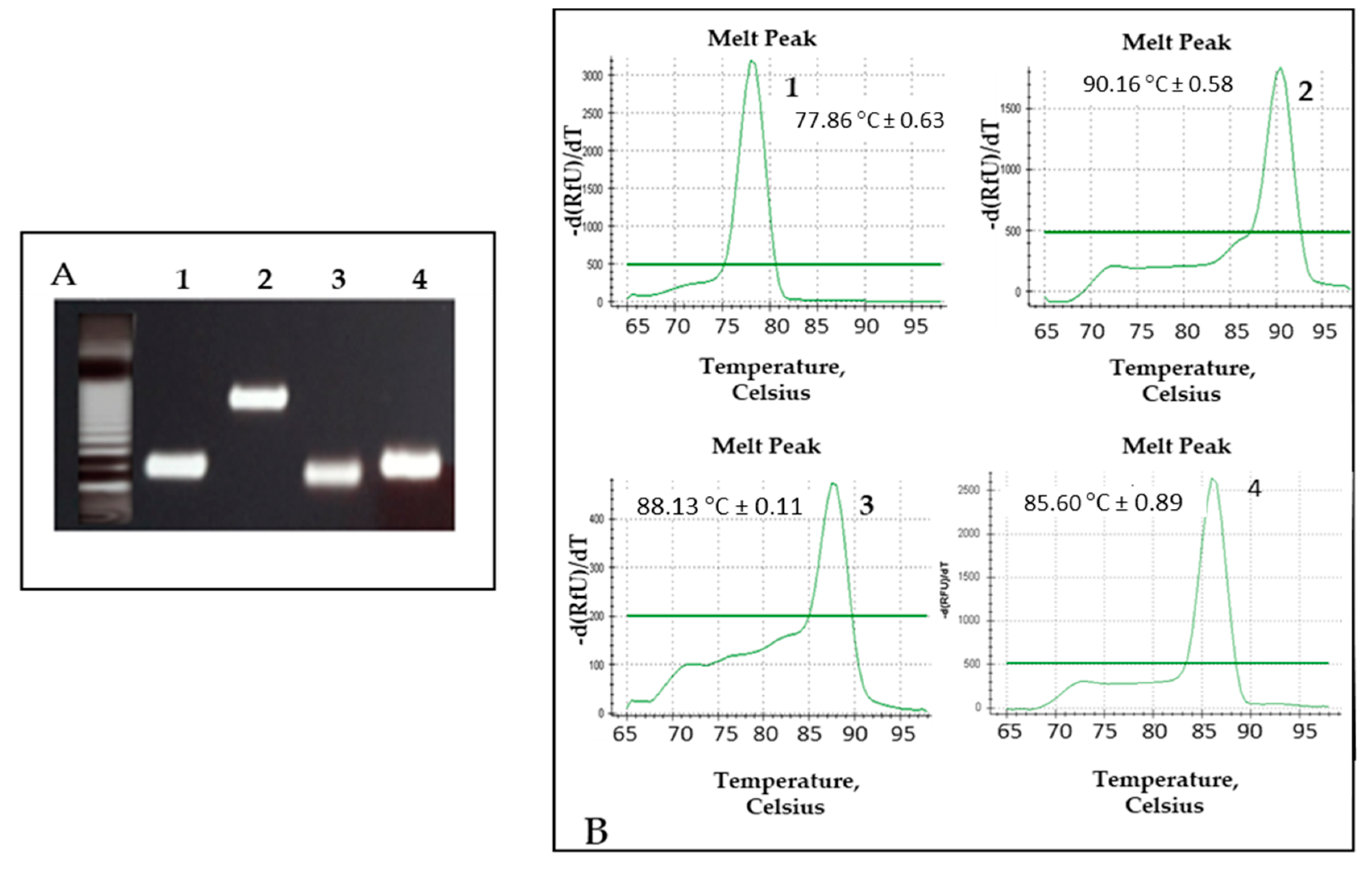 Jof 07 00336 g004 Jof 07 00336 g004