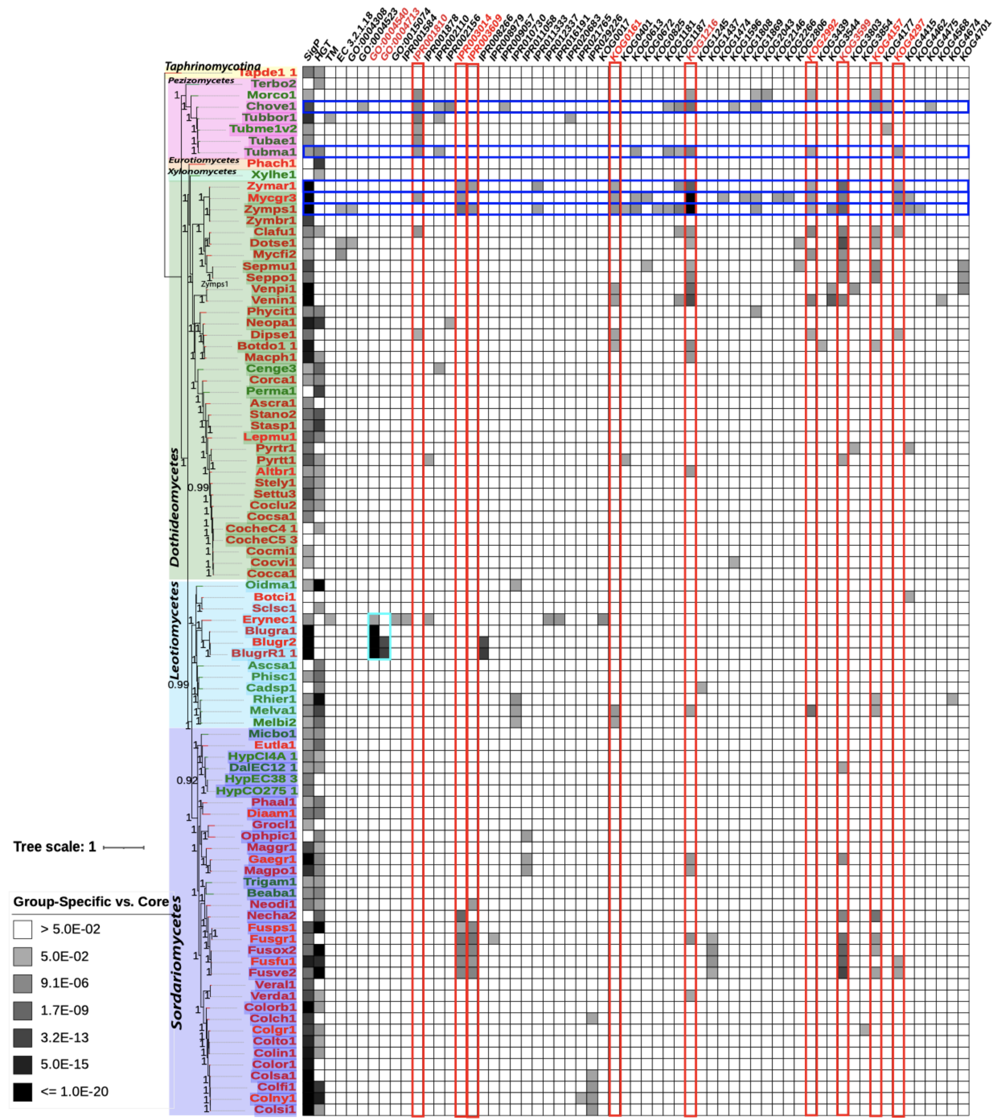 Jof 07 00337 g003 Jof 07 00337 g003