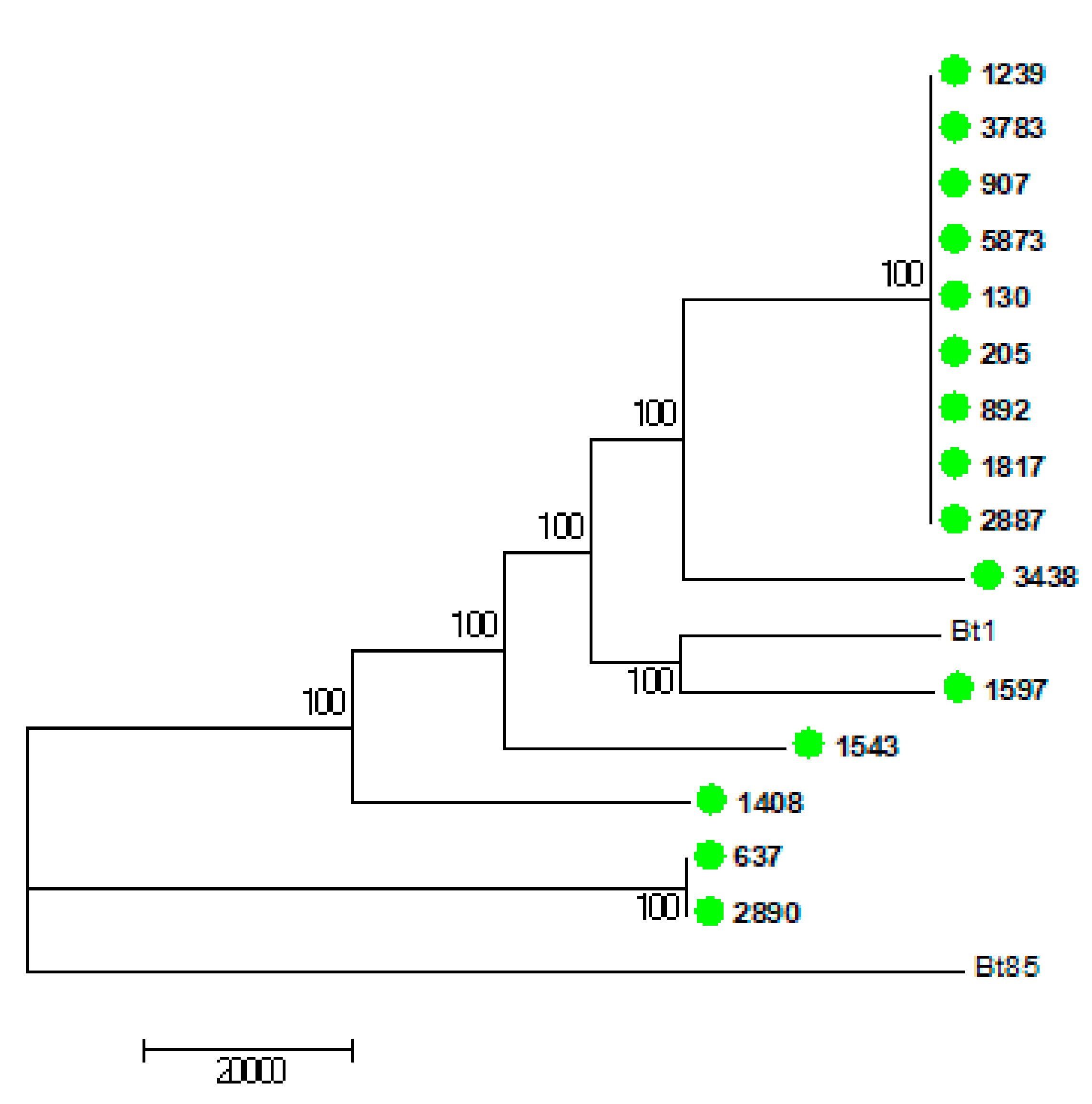 Jof 07 00338 g003 Jof 07 00338 g003