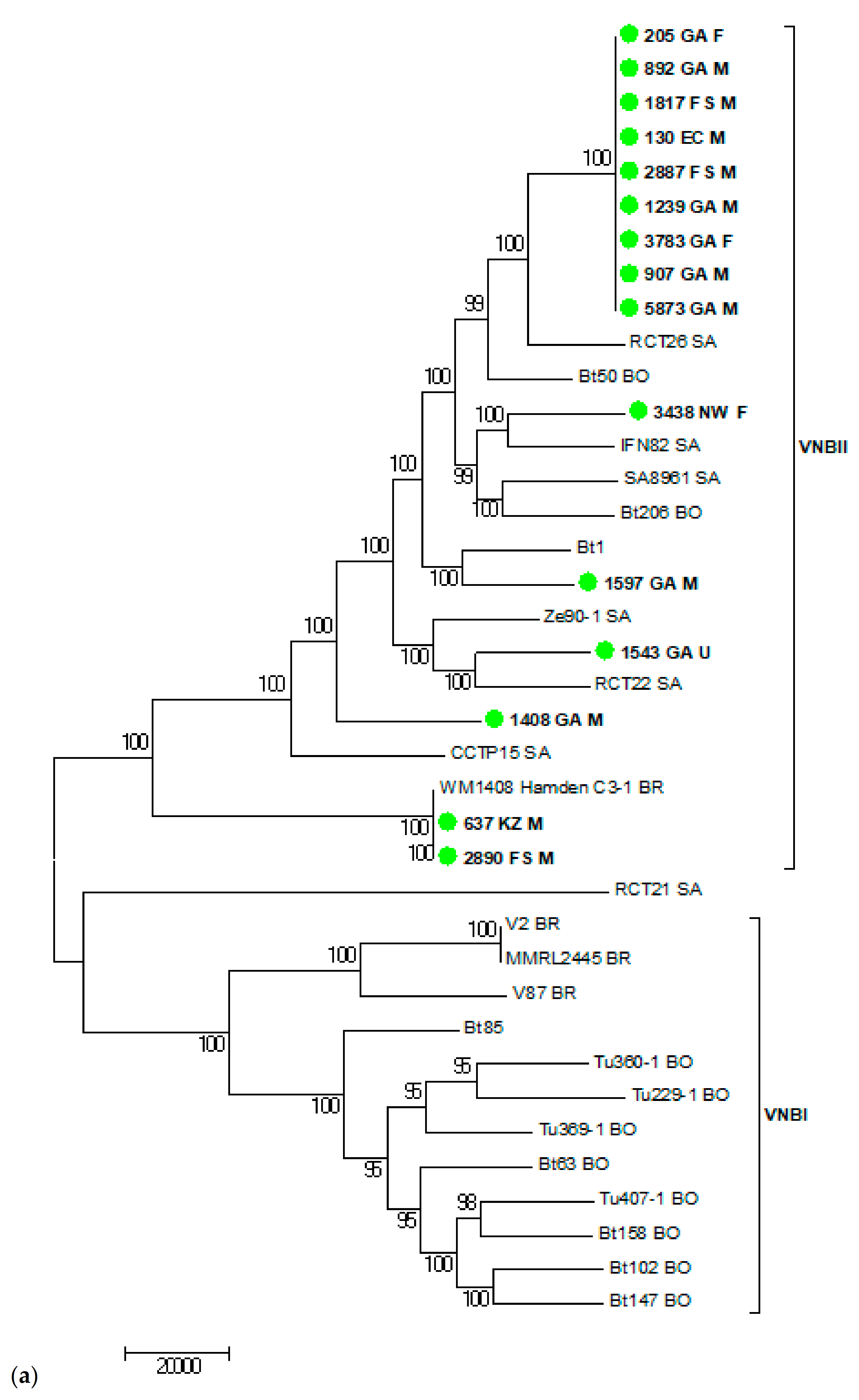 Jof 07 00338 g004a Jof 07 00338 g004a