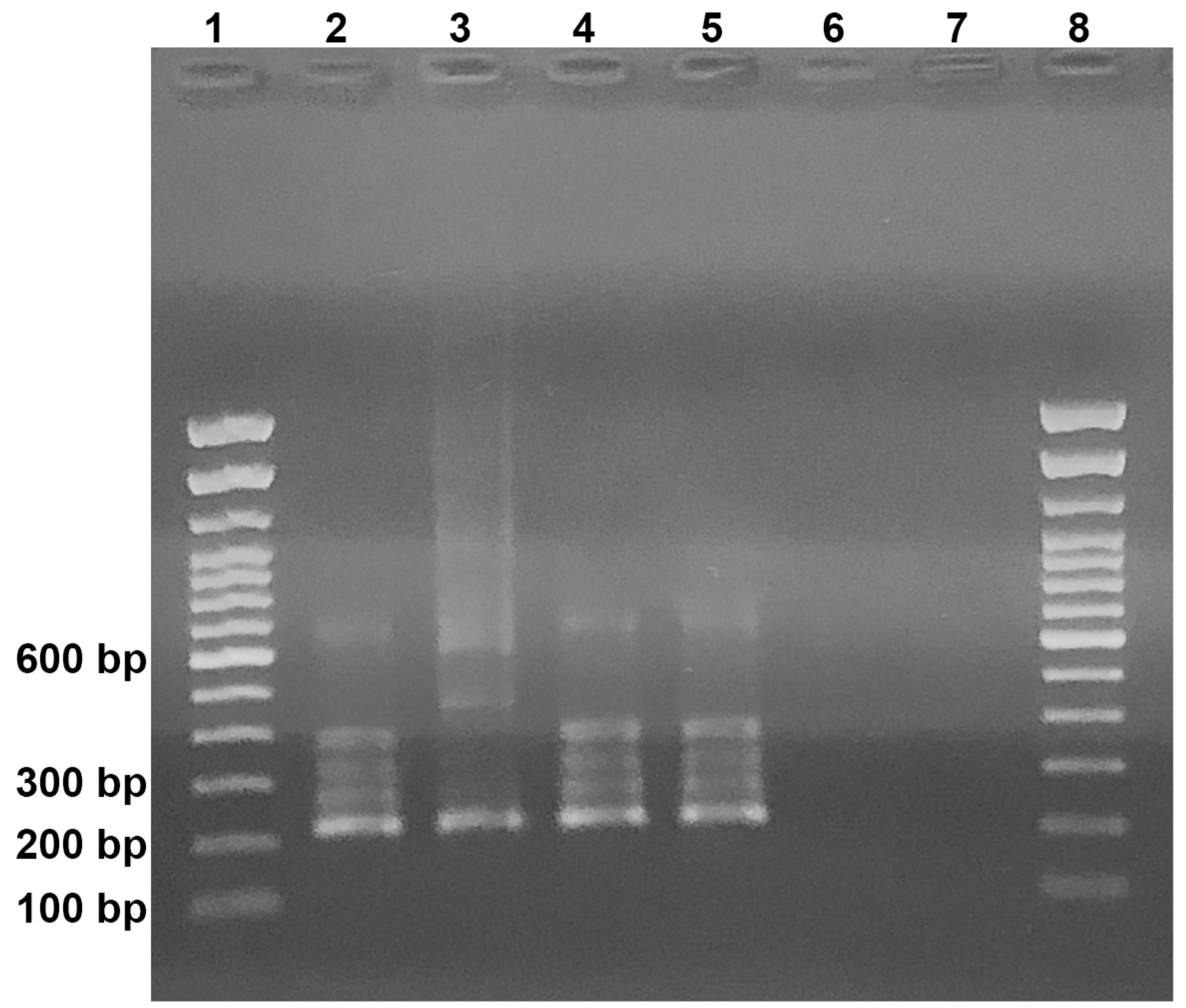 Jof 07 00346 g003 Jof 07 00346 g003