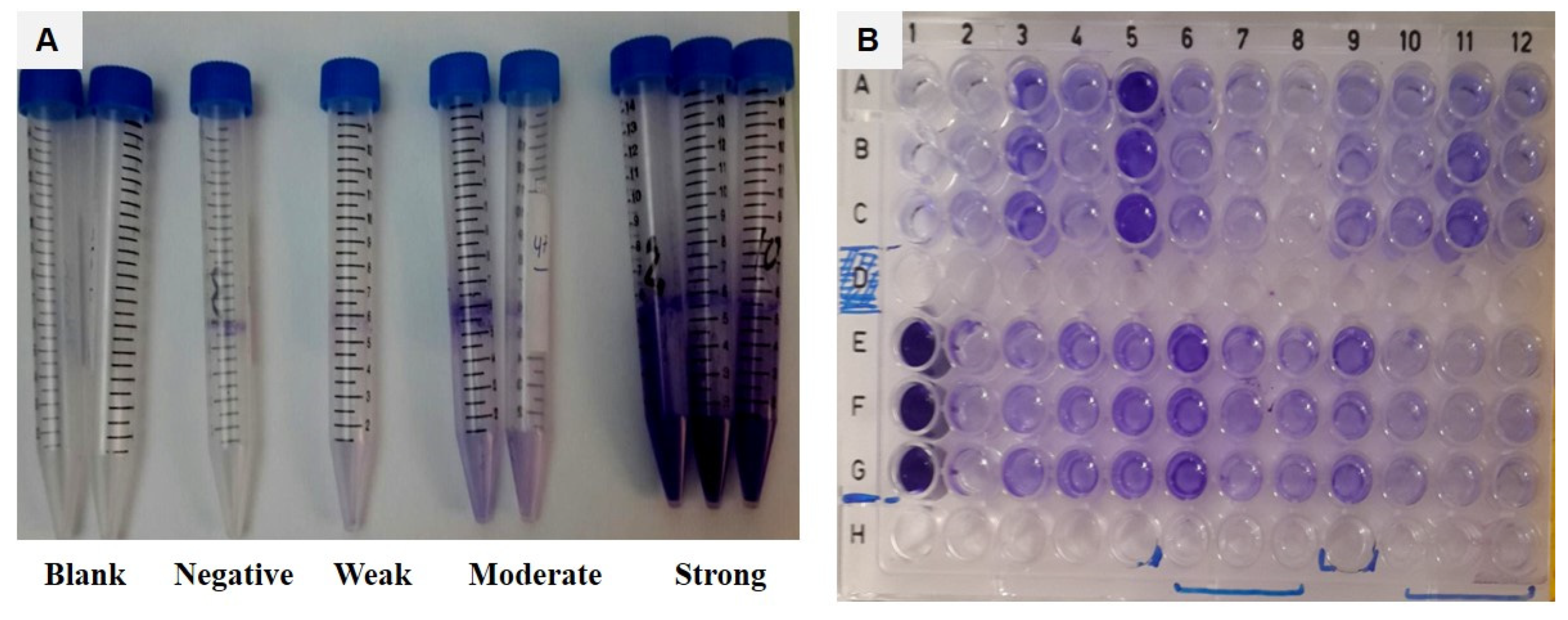 Jof 07 00351 g002 Jof 07 00351 g002