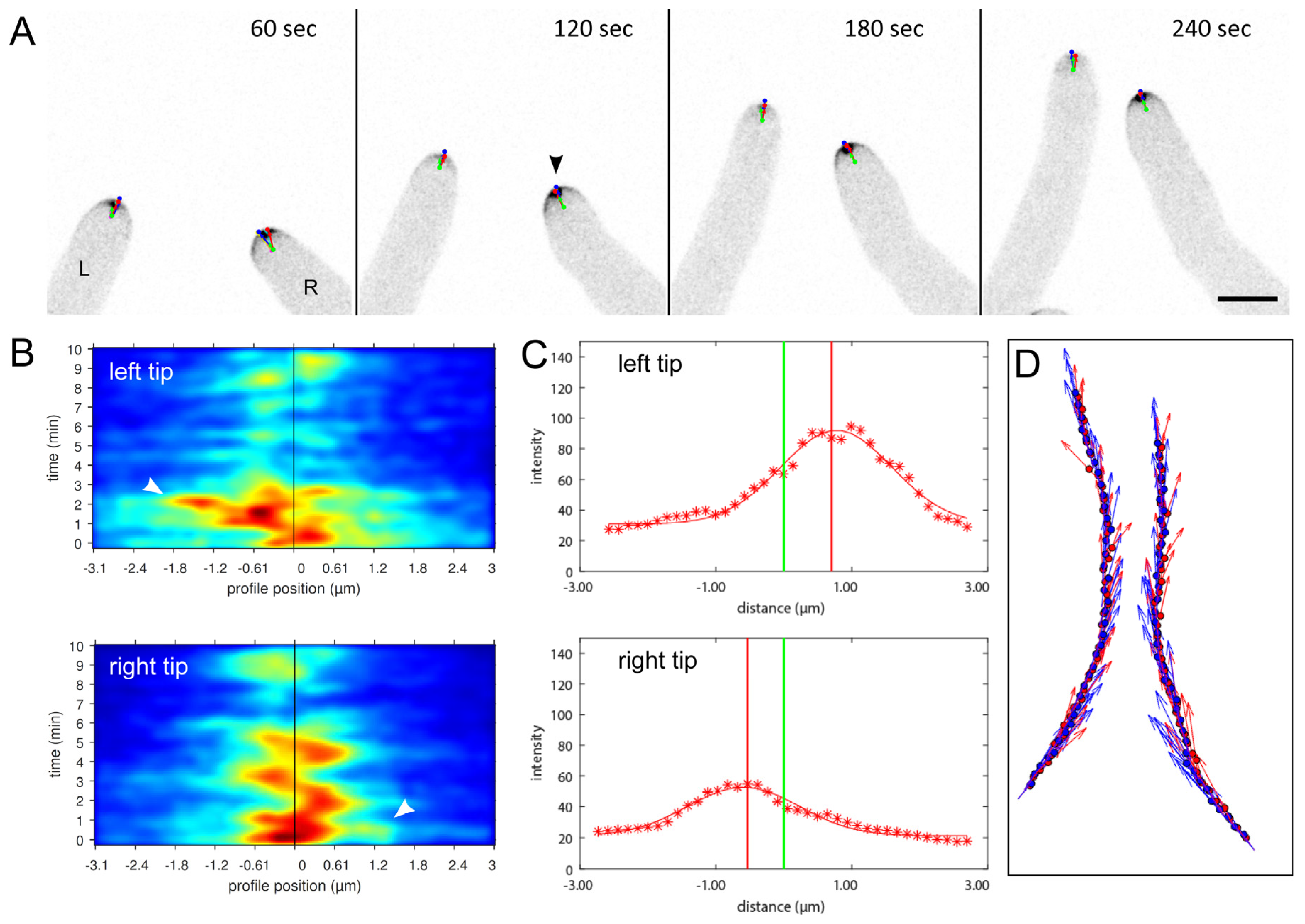 Jof 07 00365 g002 Jof 07 00365 g002