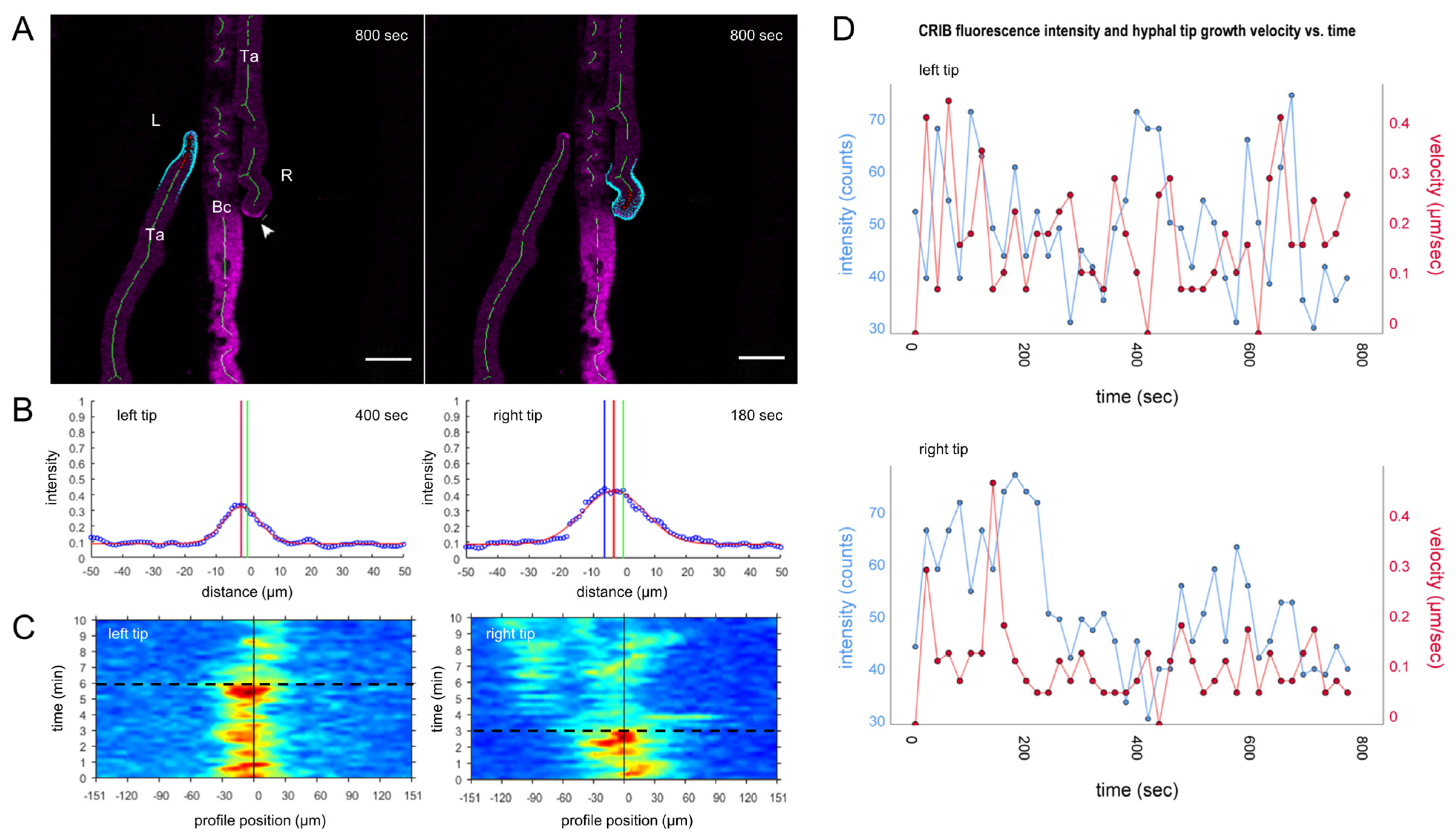 Jof 07 00365 g005 Jof 07 00365 g005
