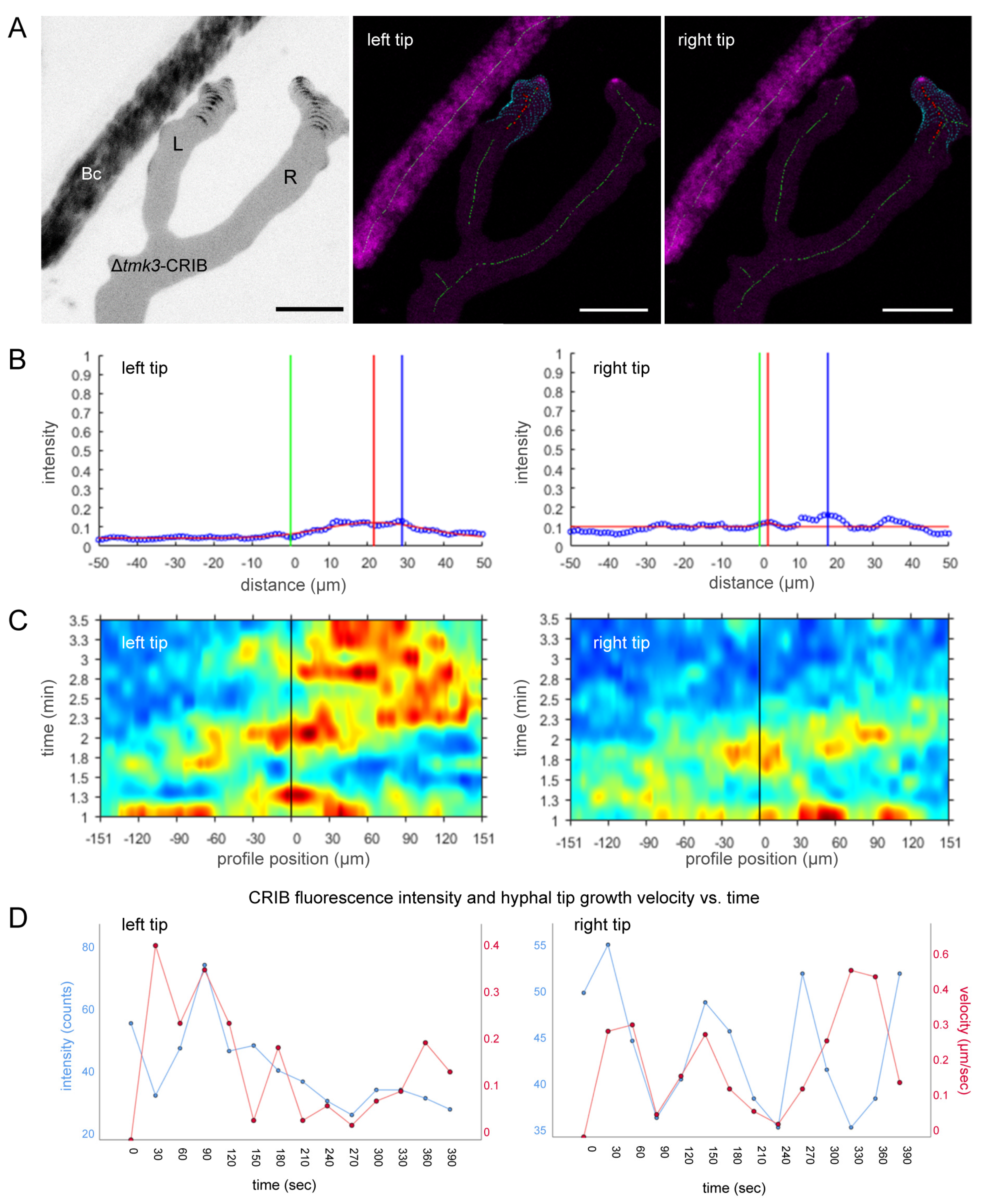 Jof 07 00365 g010 Jof 07 00365 g010