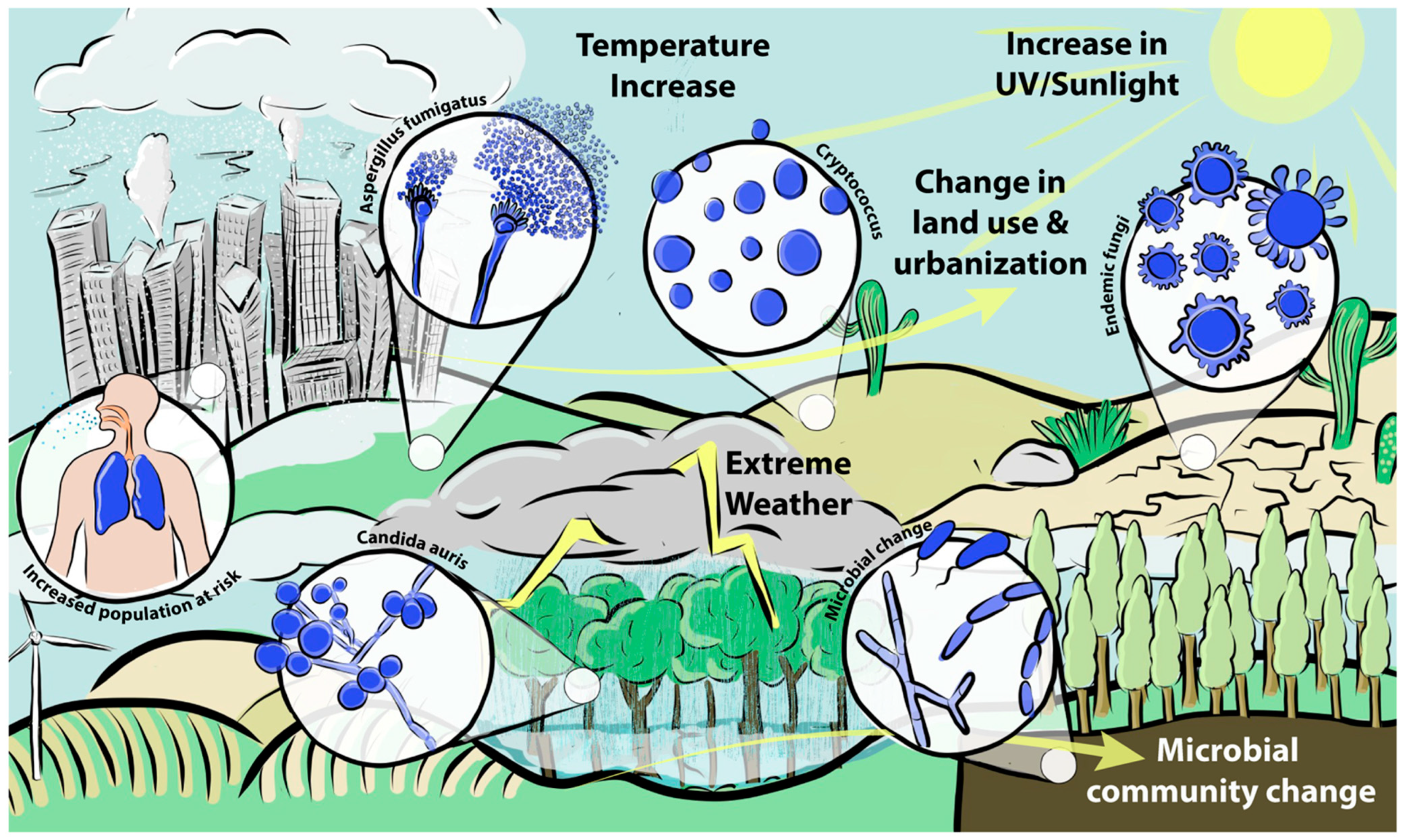 Climate & Weather Averages in Tokyo - PLAZA HOMES