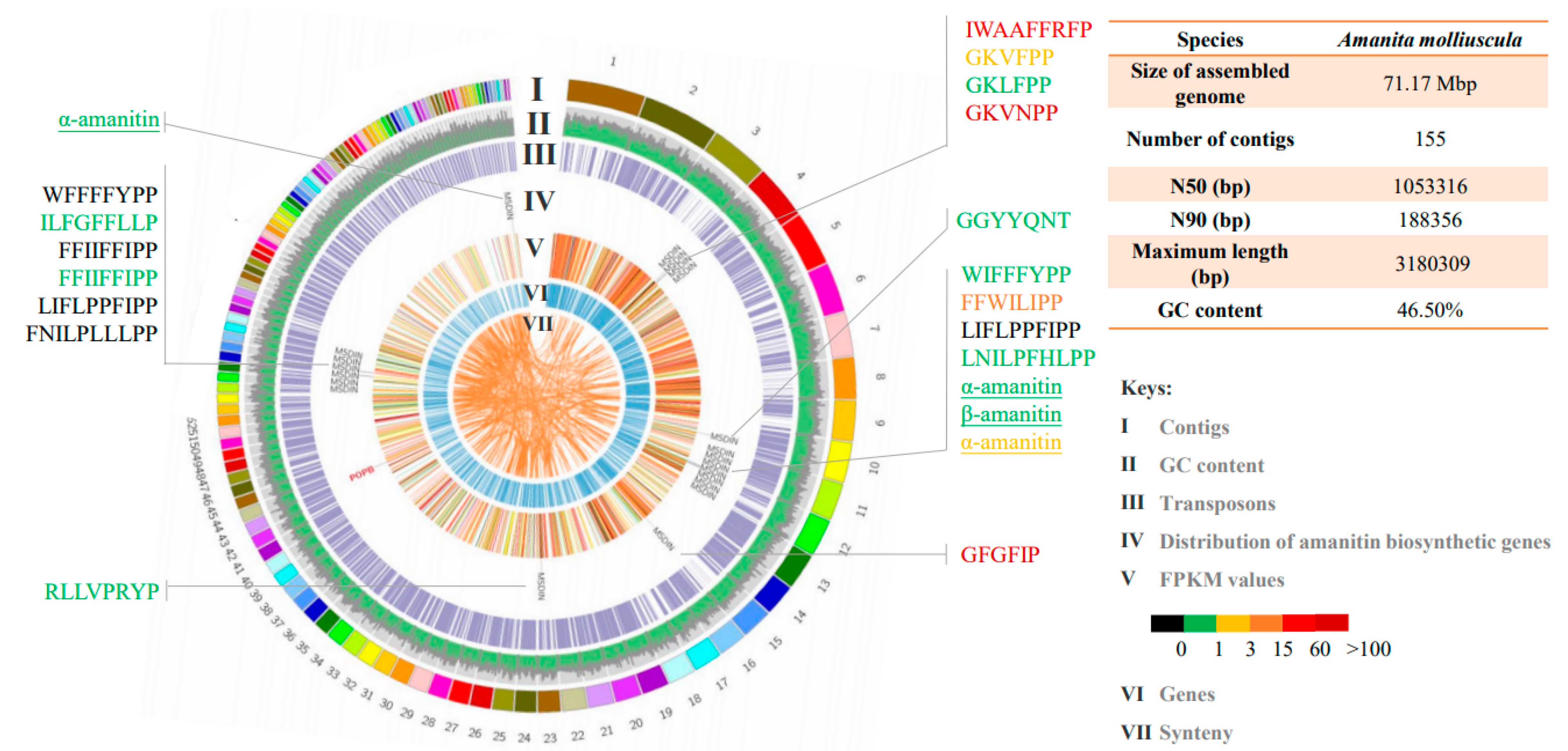 Jof 07 00384 g002 Jof 07 00384 g002