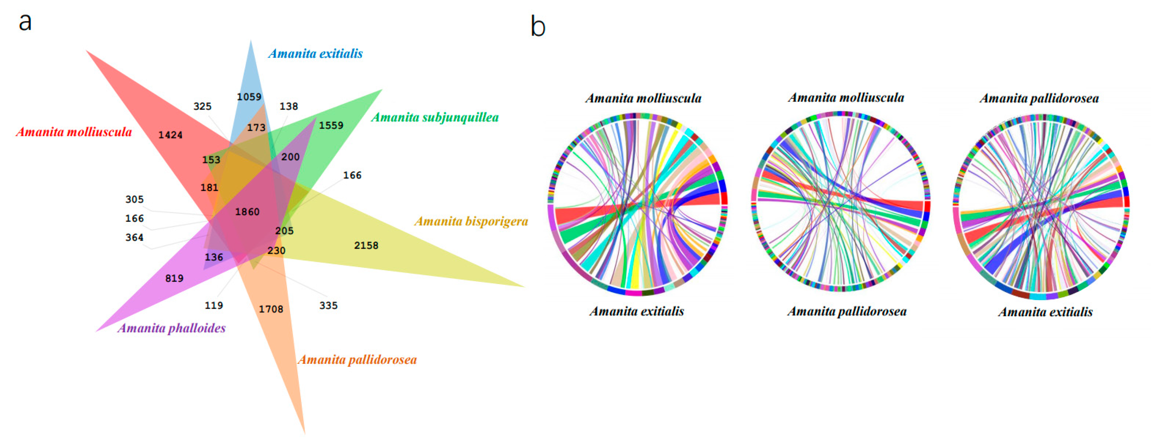 Jof 07 00384 g003 Jof 07 00384 g003