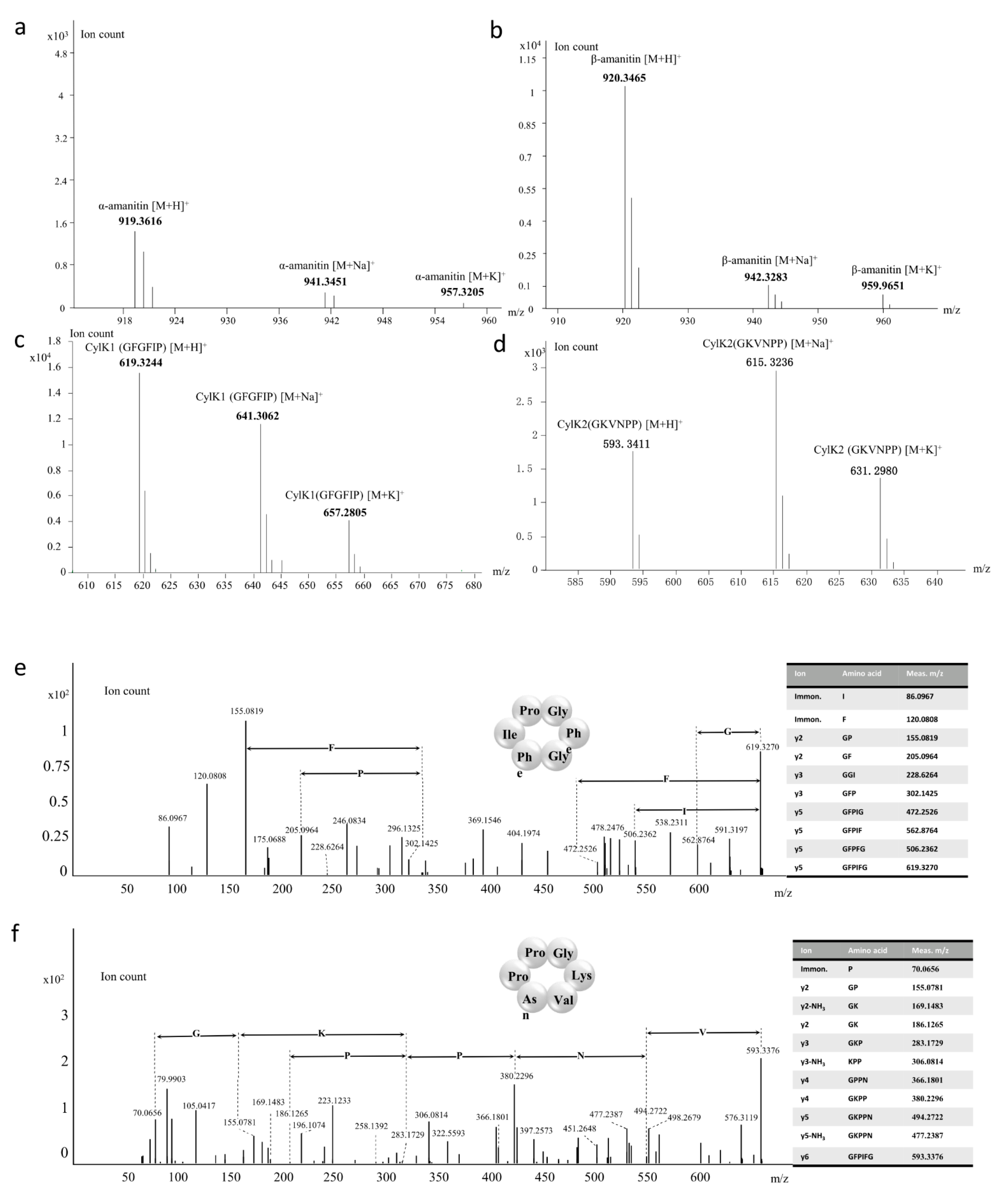 Jof 07 00384 g004 Jof 07 00384 g004