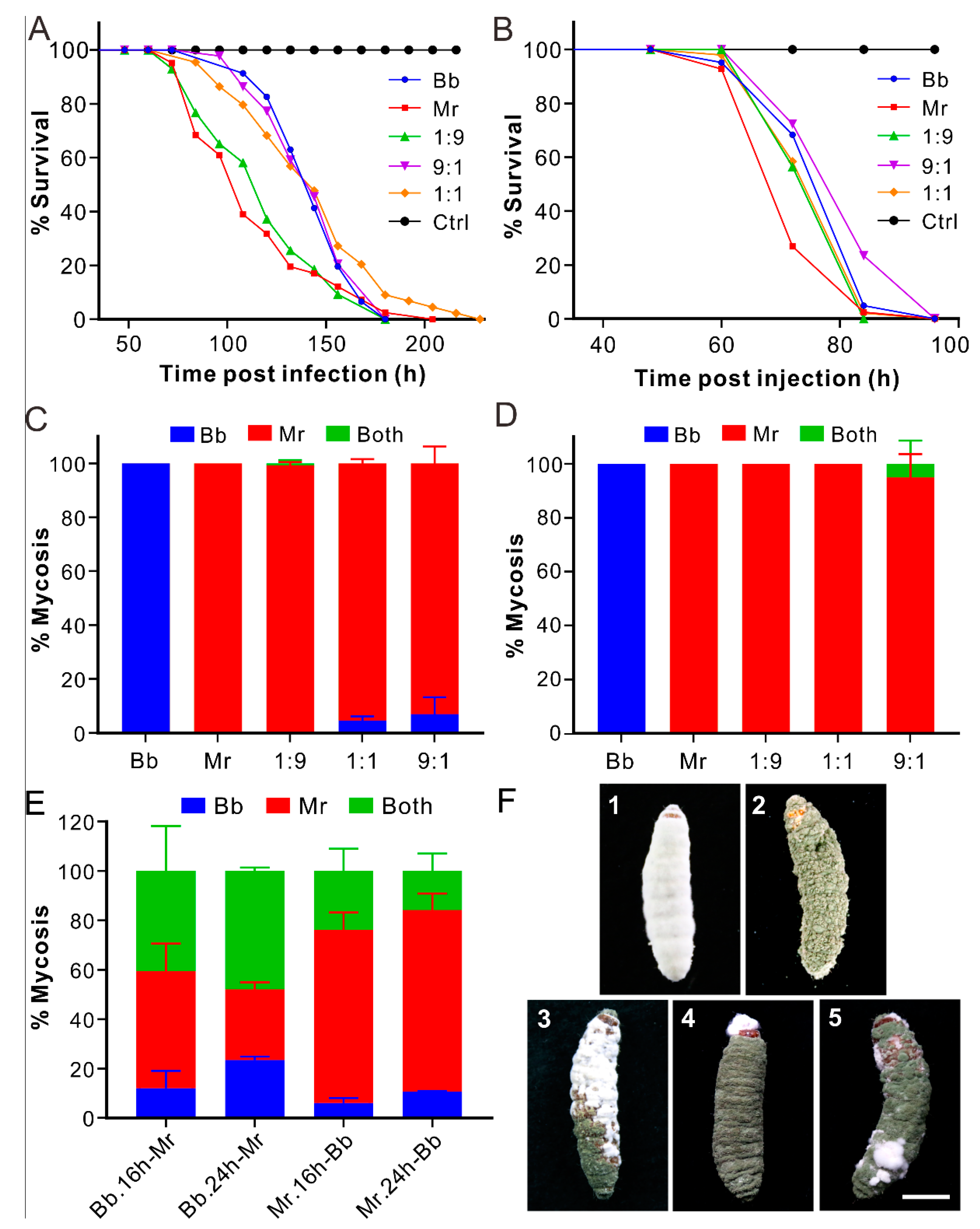 Jof 07 00385 g001 Jof 07 00385 g001