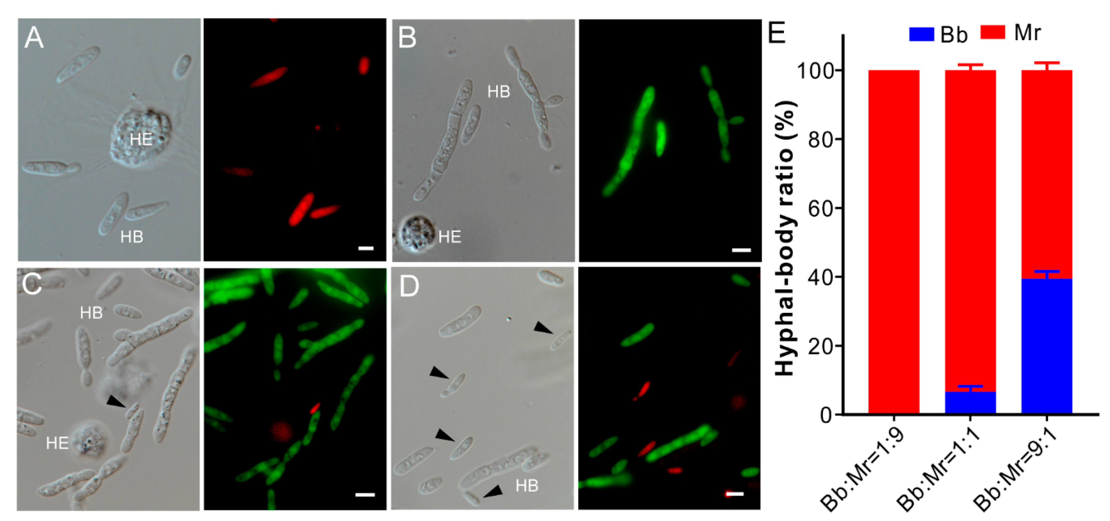 Jof 07 00385 g003 Jof 07 00385 g003