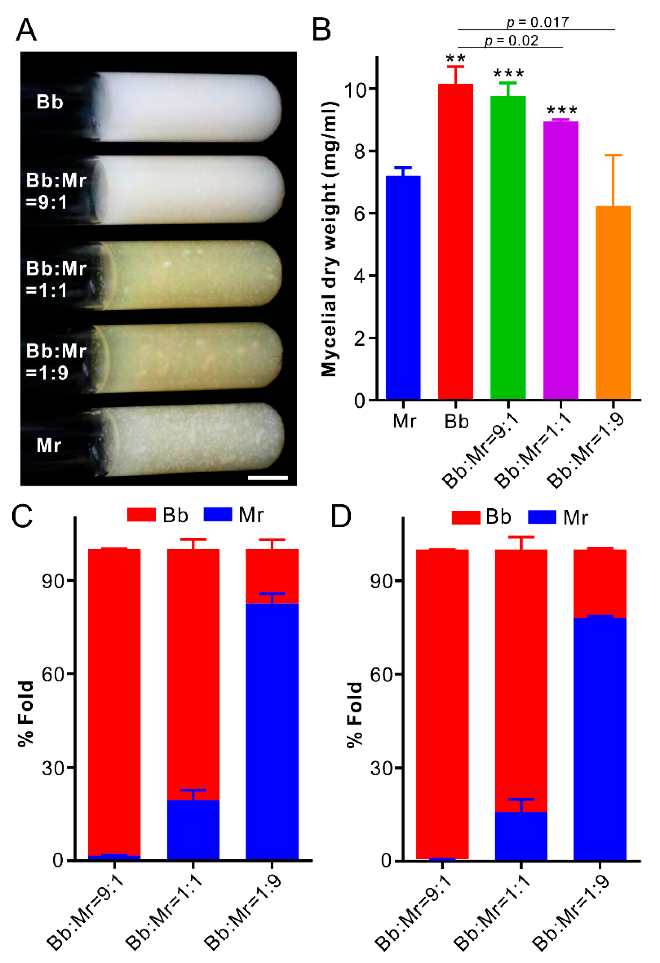 Jof 07 00385 g004 Jof 07 00385 g004