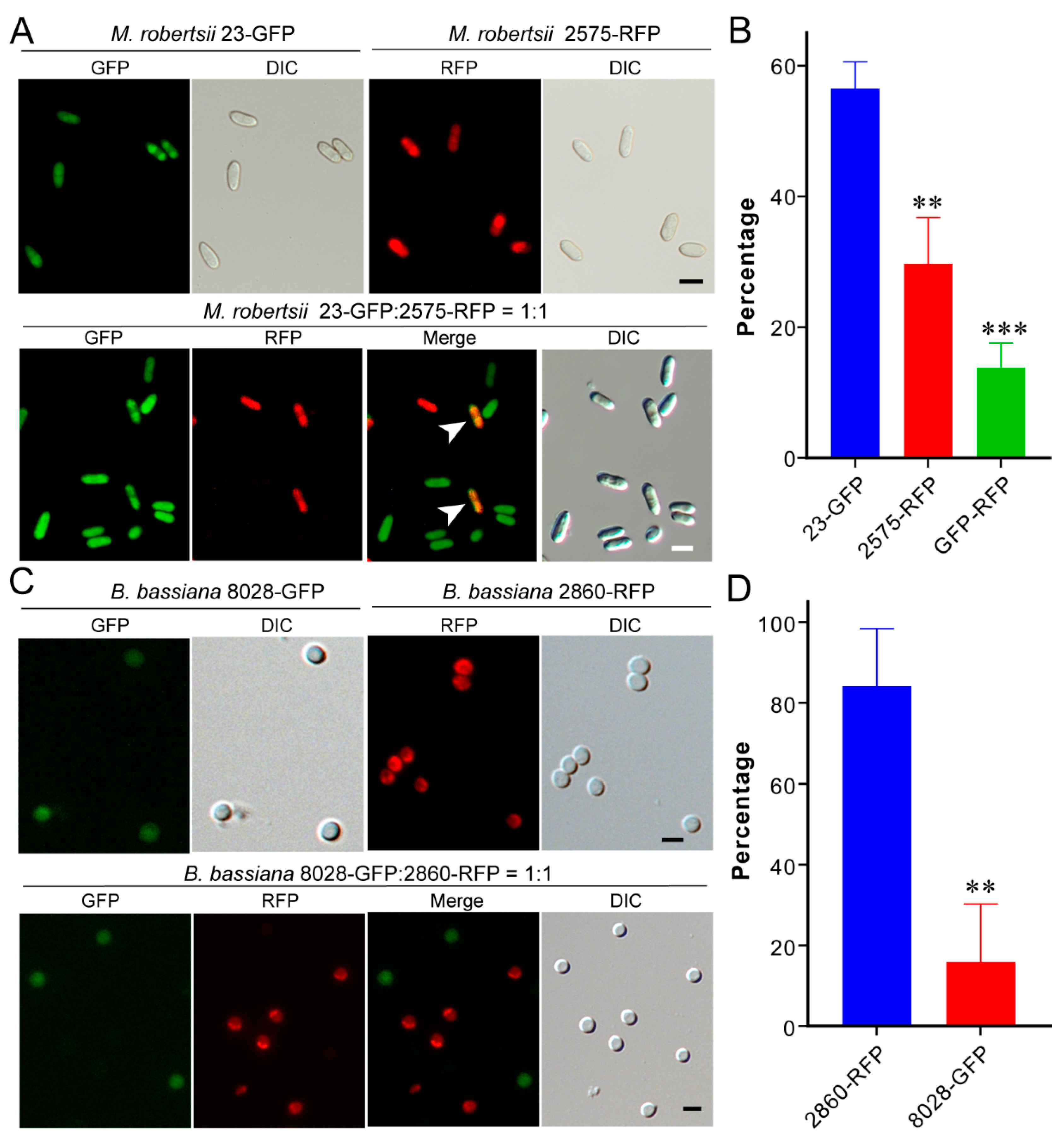 Jof 07 00385 g005 Jof 07 00385 g005
