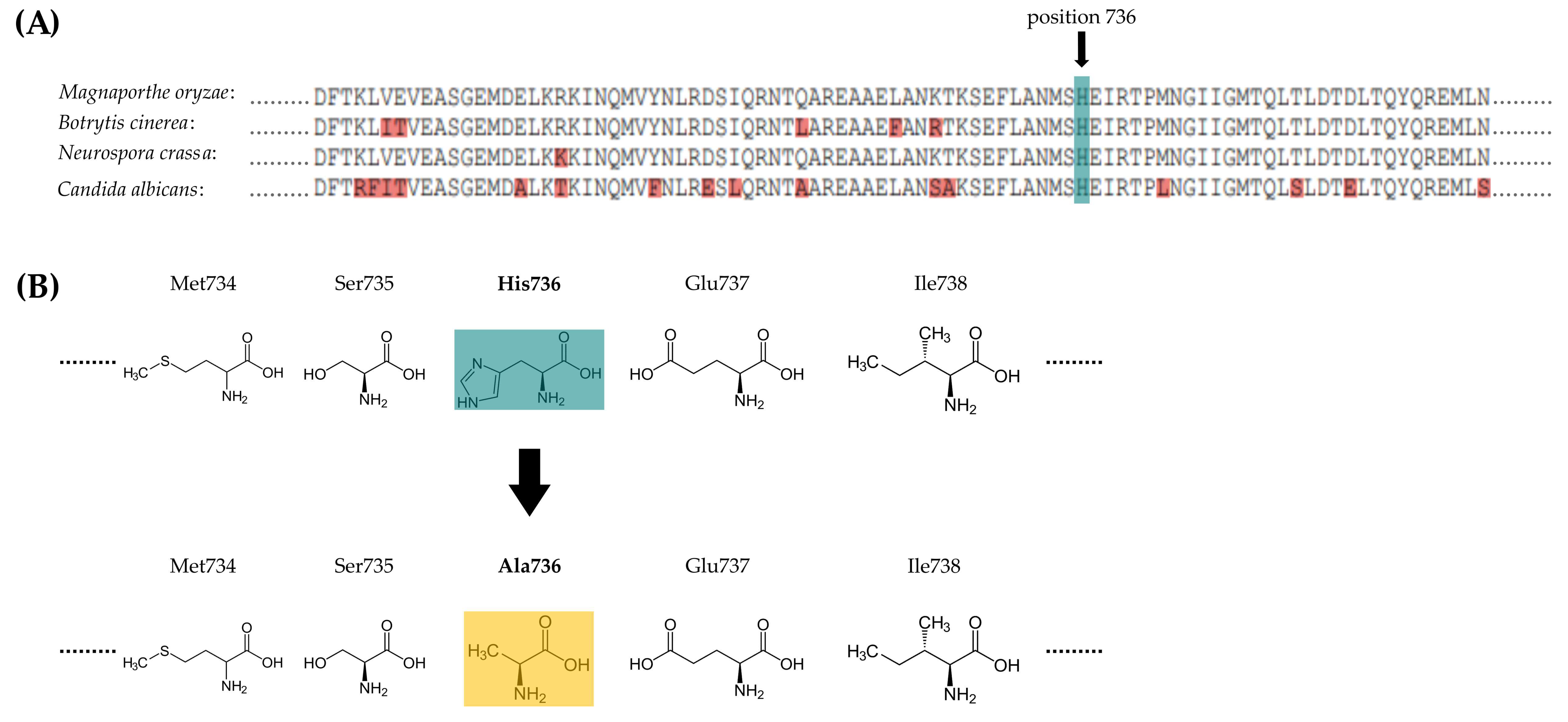 Jof 07 00393 g001 Jof 07 00393 g001