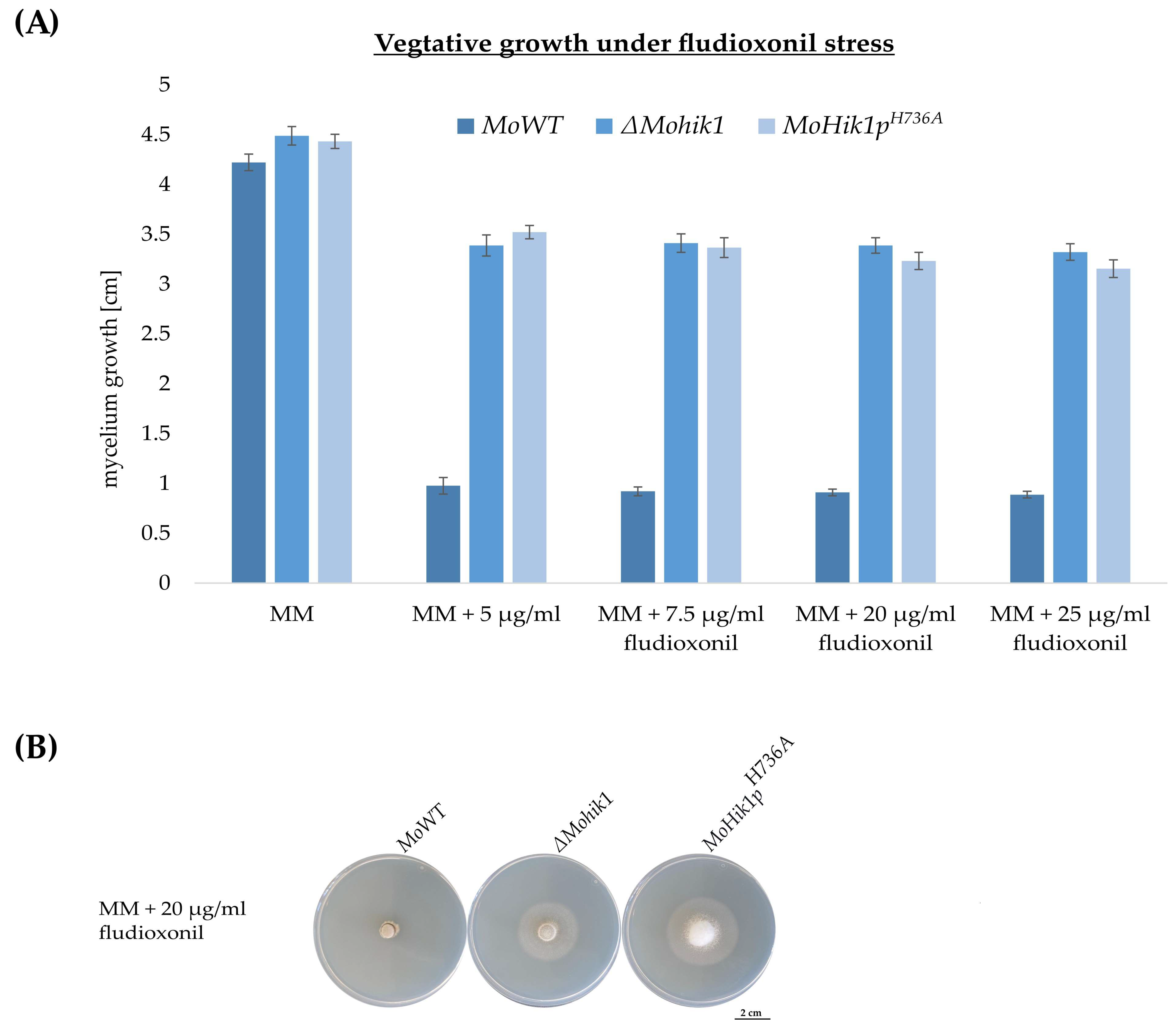 Jof 07 00393 g002 Jof 07 00393 g002