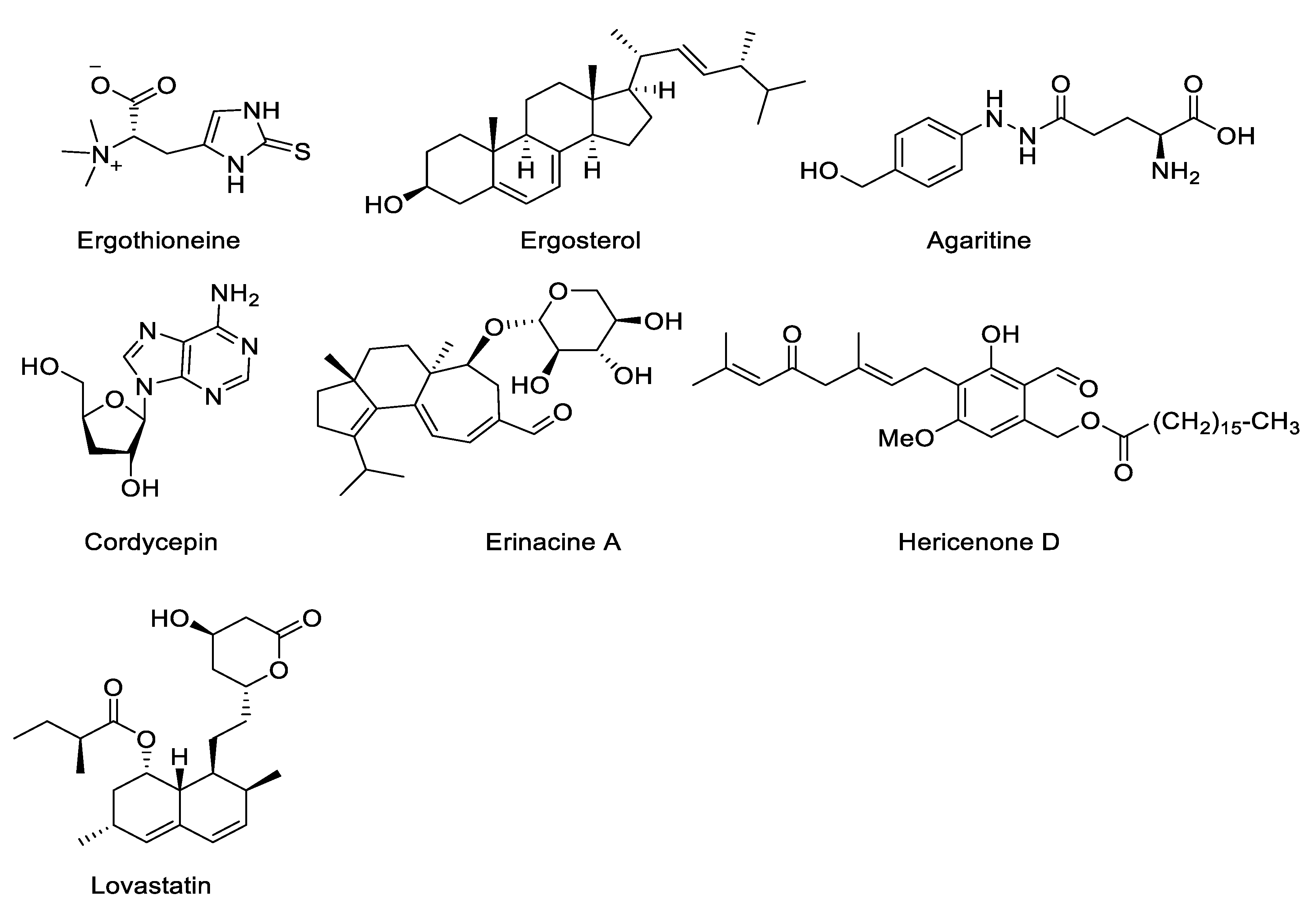 Jof 07 00397 g002 Jof 07 00397 g002