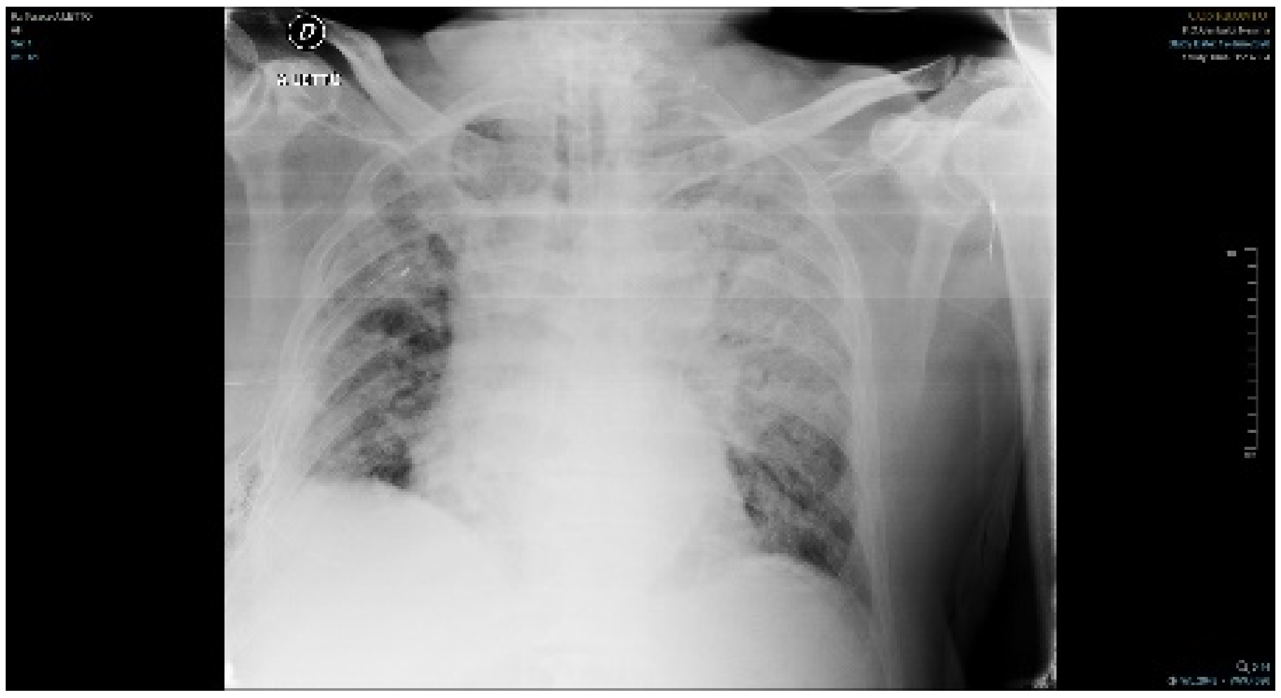 Jof 07 00405 g001 Jof 07 00405 g001