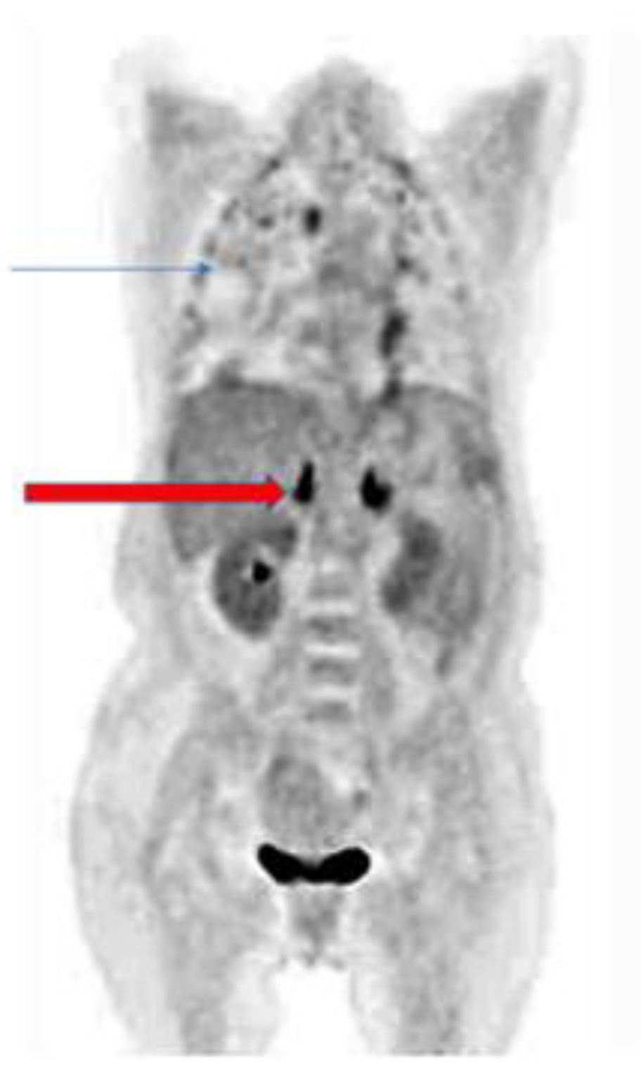 Jof 07 00407 g001