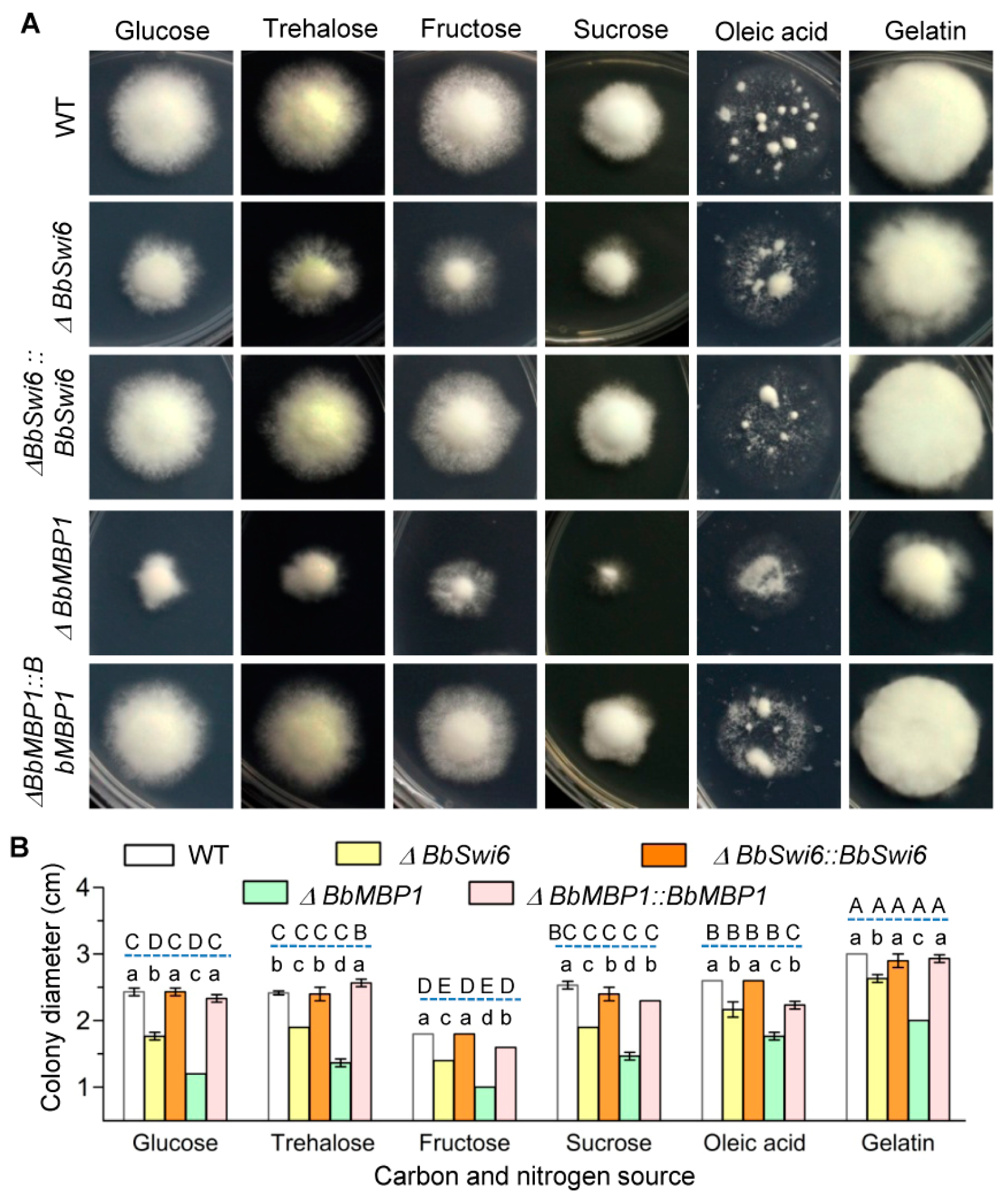 Jof 07 00411 g002 Jof 07 00411 g002