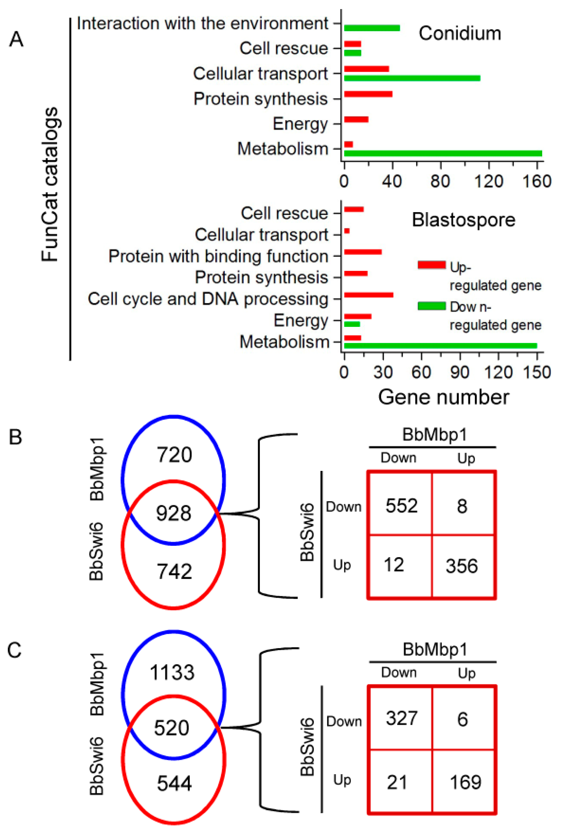 Jof 07 00411 g005 Jof 07 00411 g005