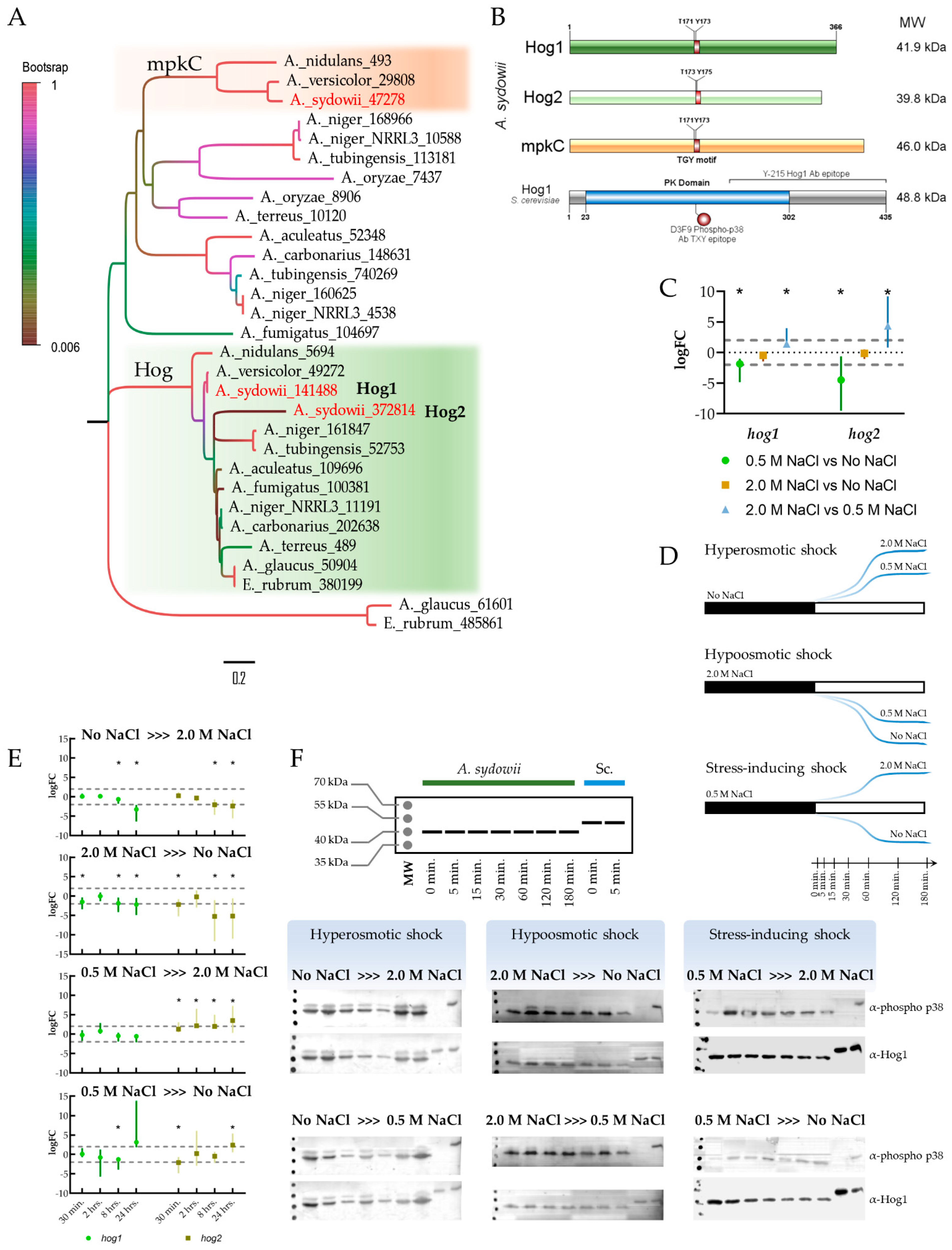 Jof 07 00414 g006 Jof 07 00414 g006