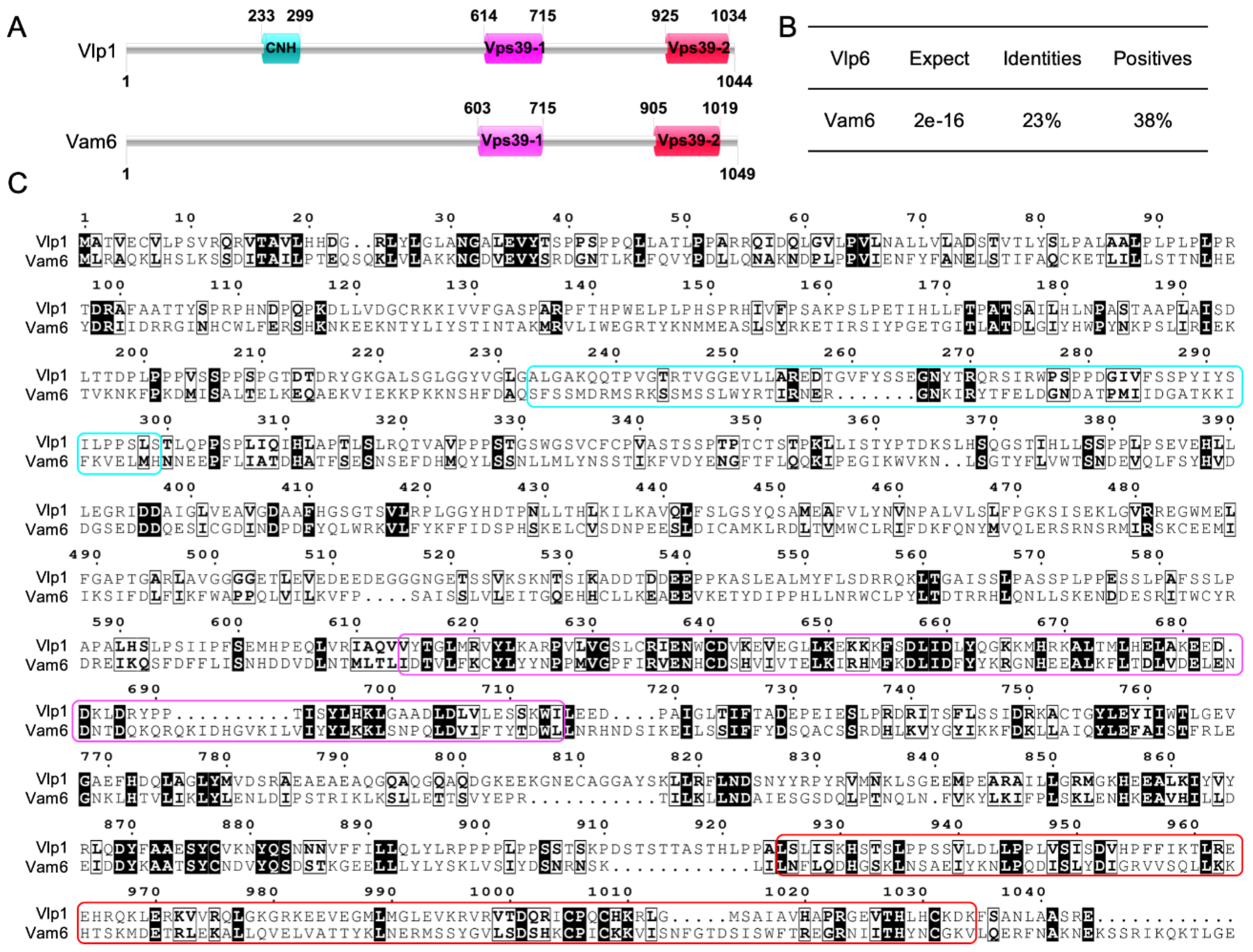 Jof 07 00418 g001 Jof 07 00418 g001