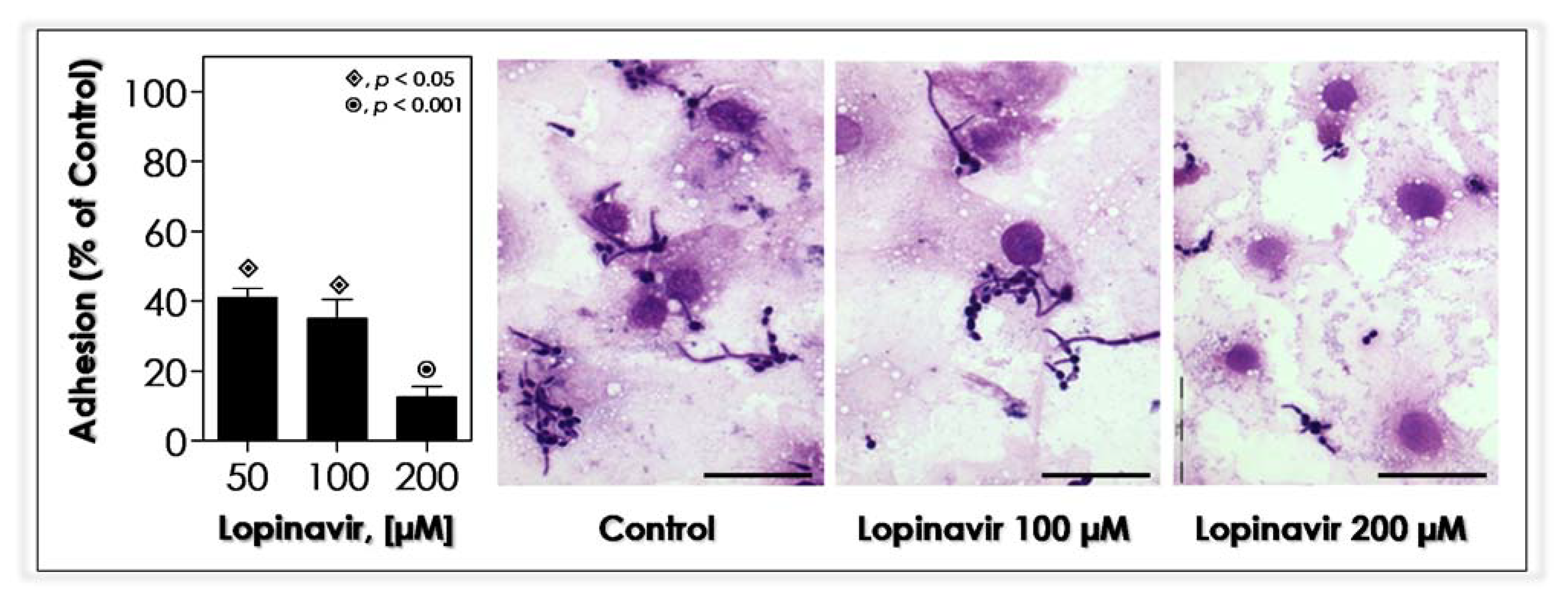 Jof 07 00424 g009 Jof 07 00424 g009