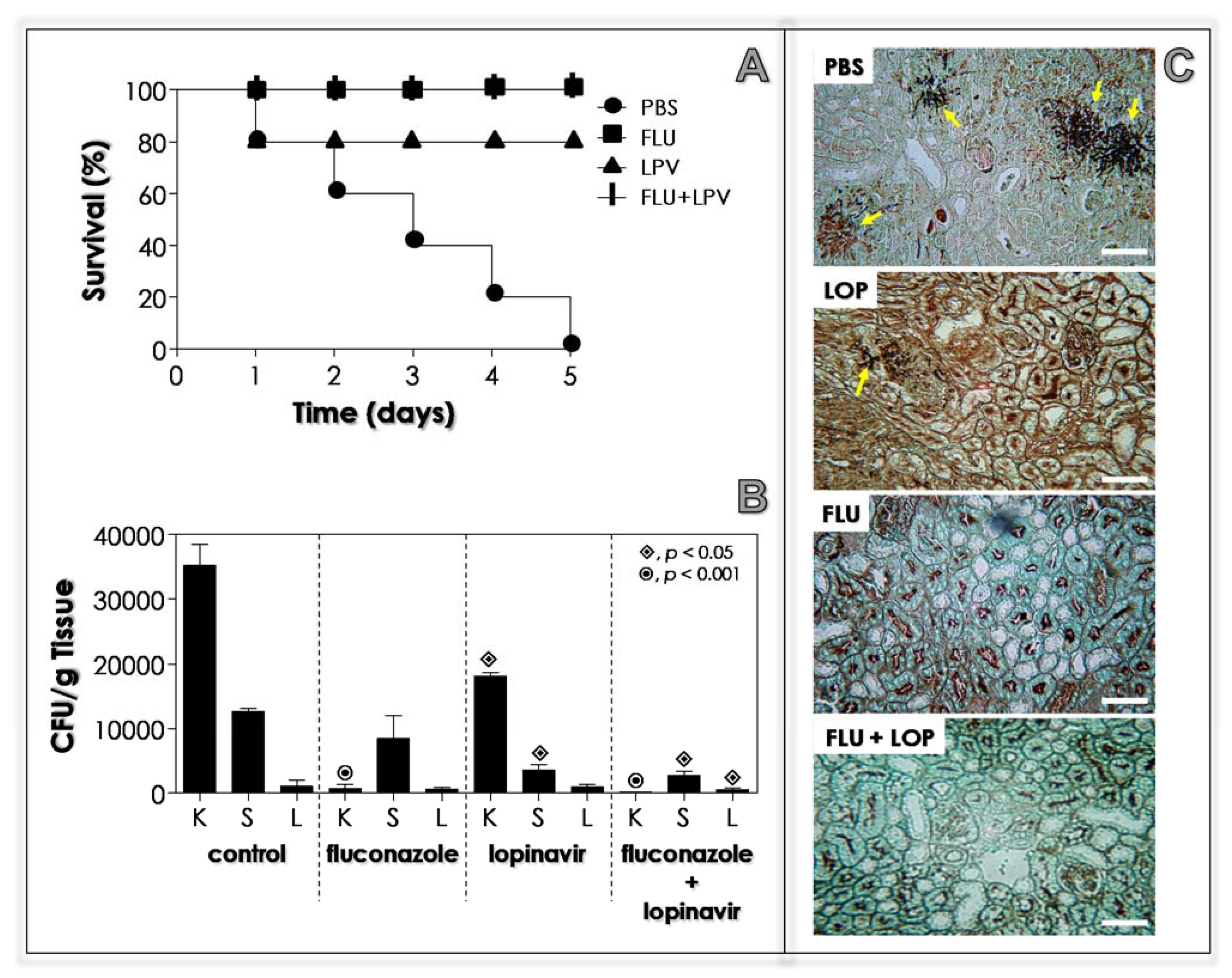Jof 07 00424 g011 Jof 07 00424 g011