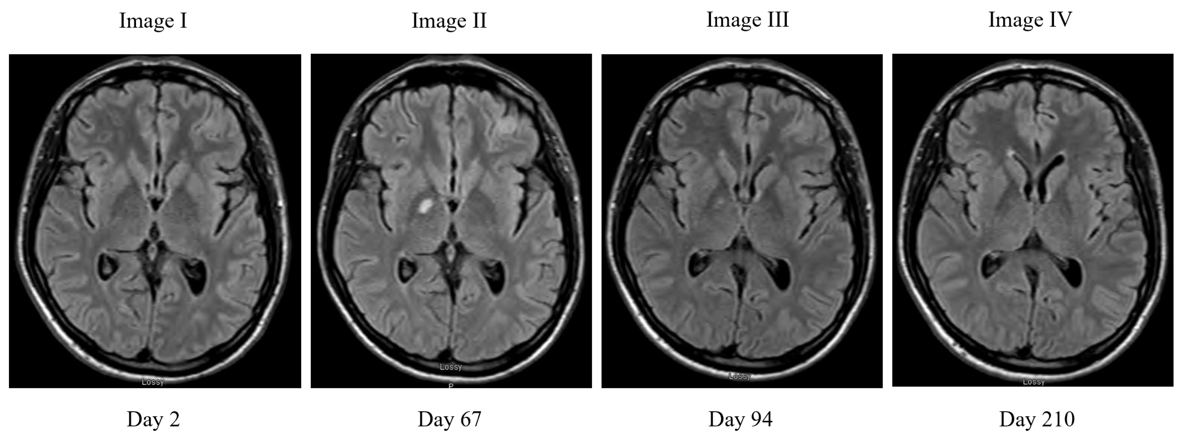 Jof 07 00425 g002 Jof 07 00425 g002