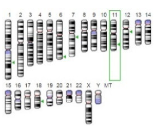 Jof 07 00436 i002 Jof 07 00436 i002