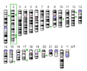 Jof 07 00436 i004 Jof 07 00436 i004