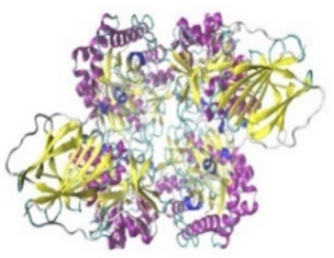 Jof 07 00436 i005 Jof 07 00436 i005