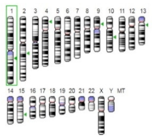 Jof 07 00436 i006 Jof 07 00436 i006