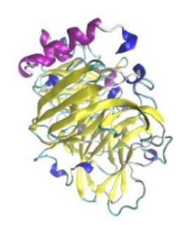 Jof 07 00436 i009 Jof 07 00436 i009