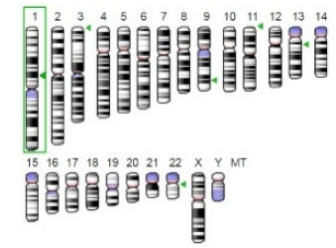 Jof 07 00436 i014 Jof 07 00436 i014