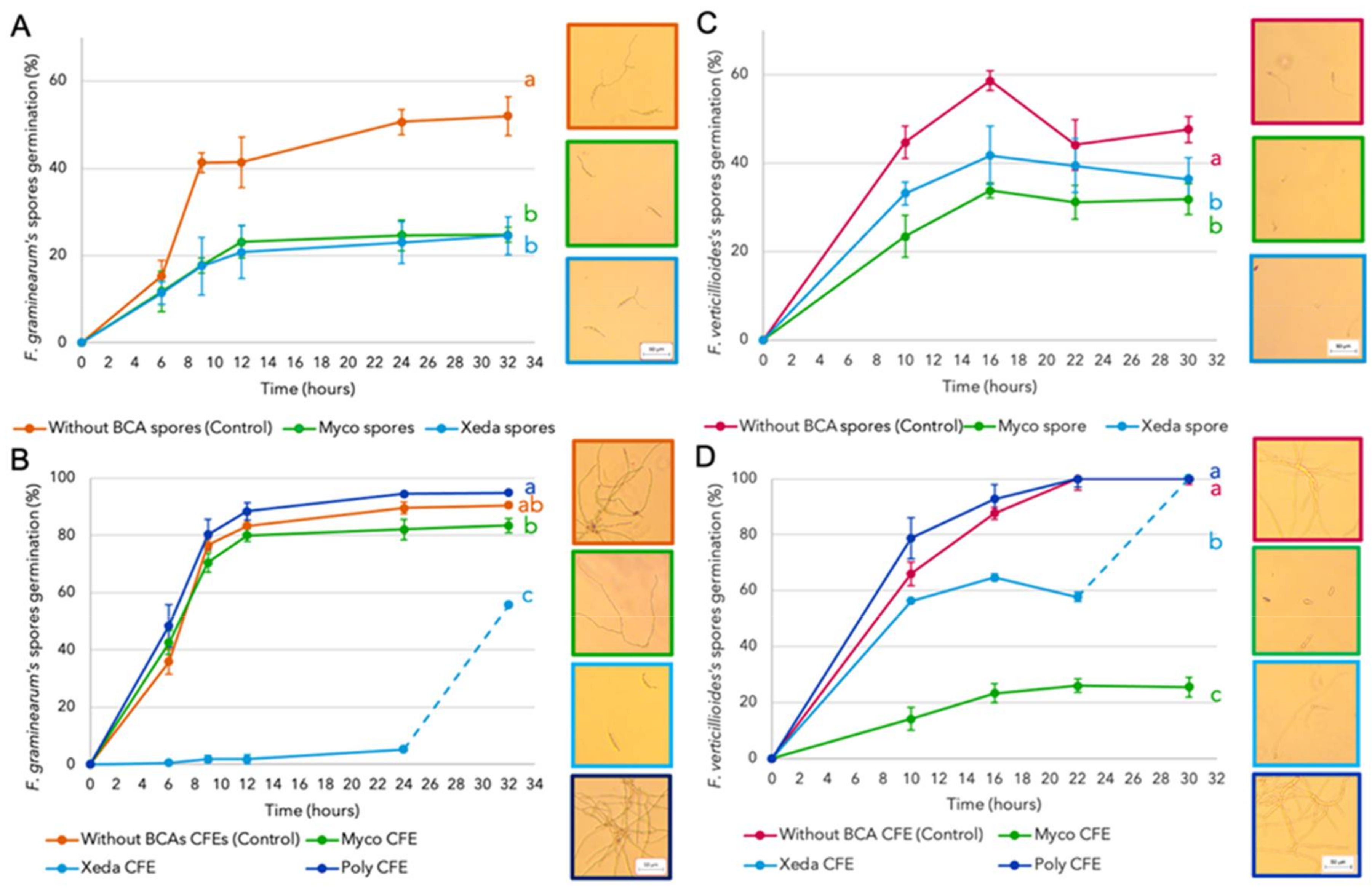 Jof 07 00446 g003 Jof 07 00446 g003