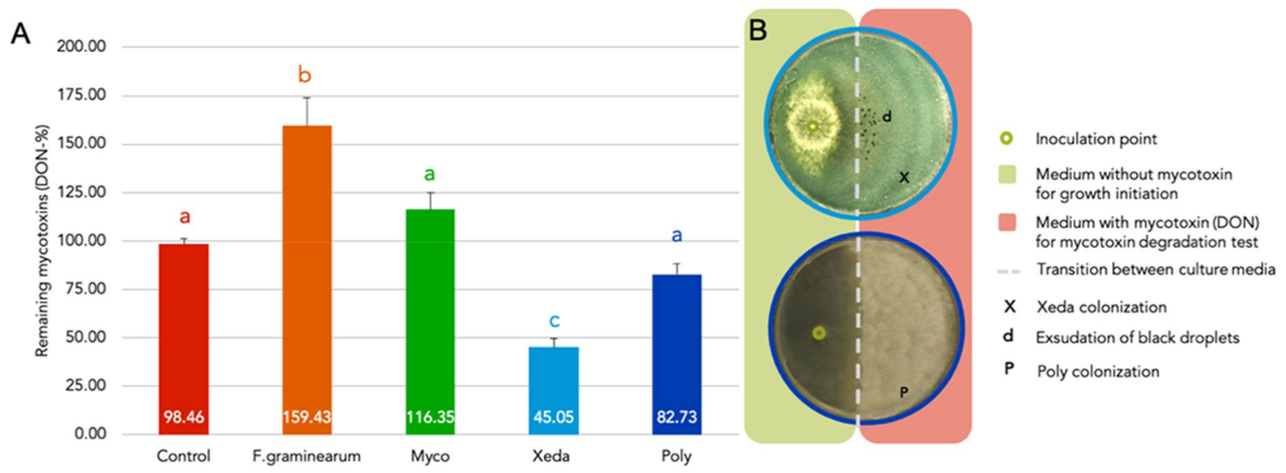 Jof 07 00446 g008 Jof 07 00446 g008