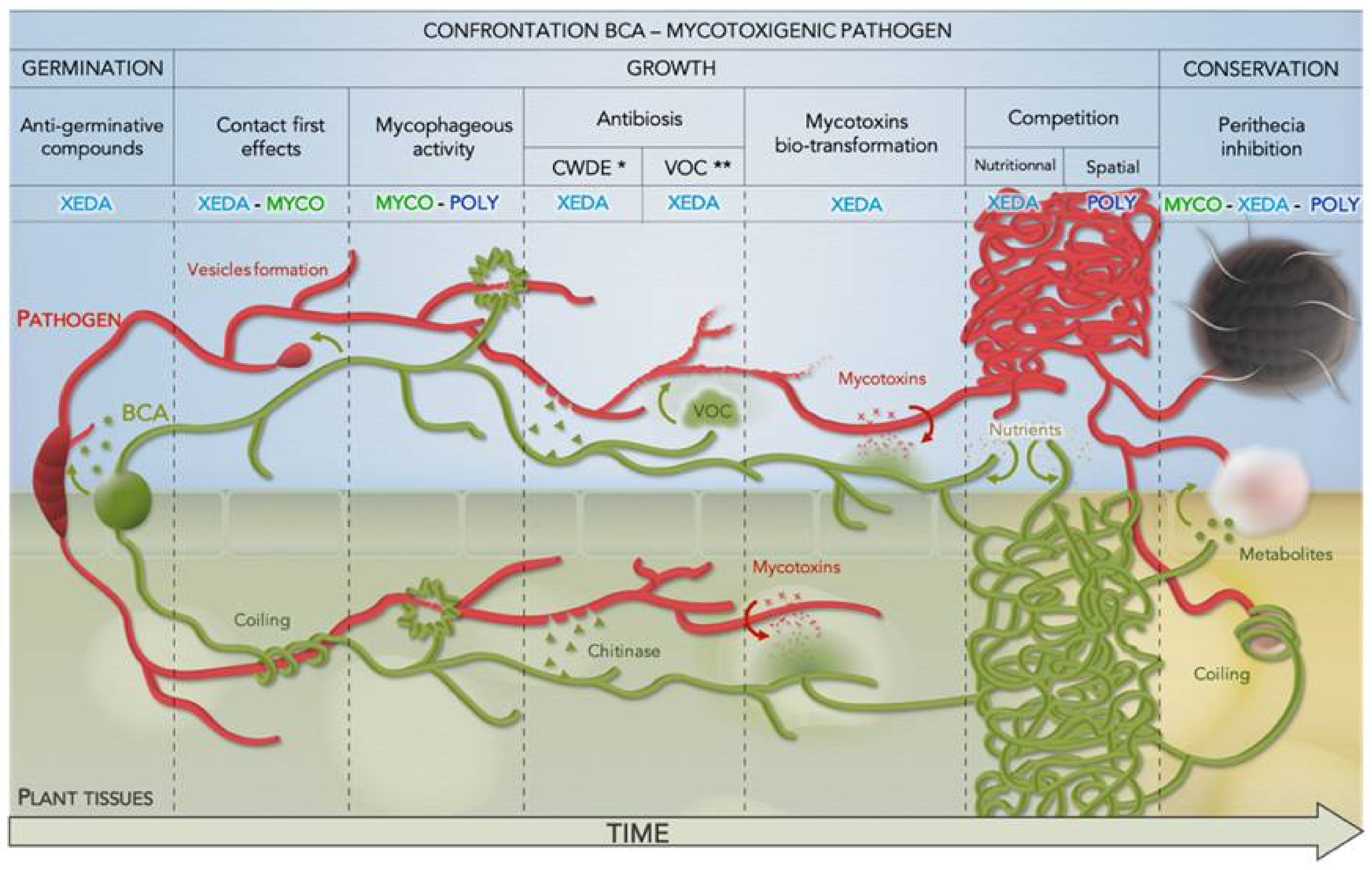 Jof 07 00446 g012 Jof 07 00446 g012