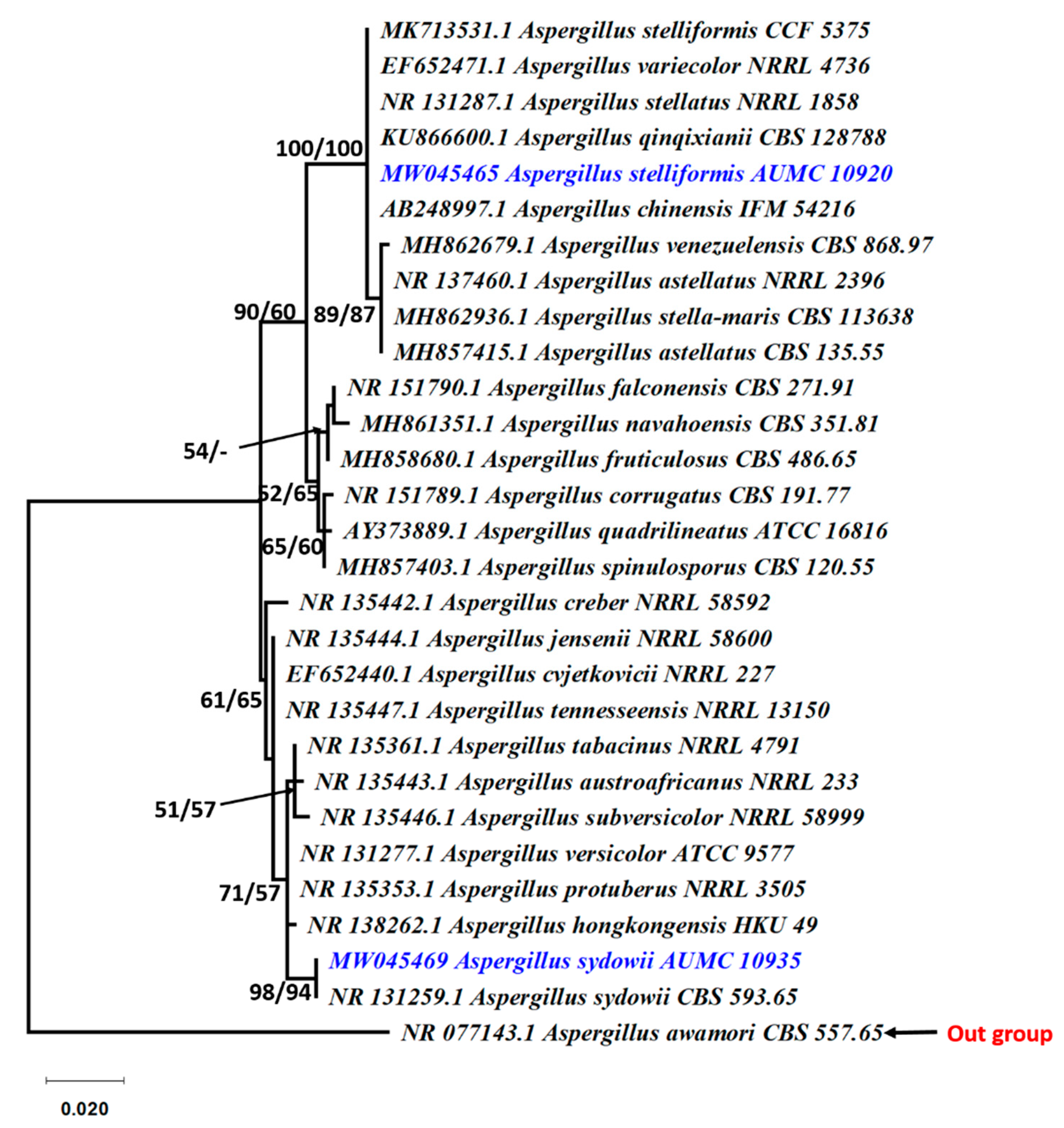Jof 07 00471 g002 Jof 07 00471 g002