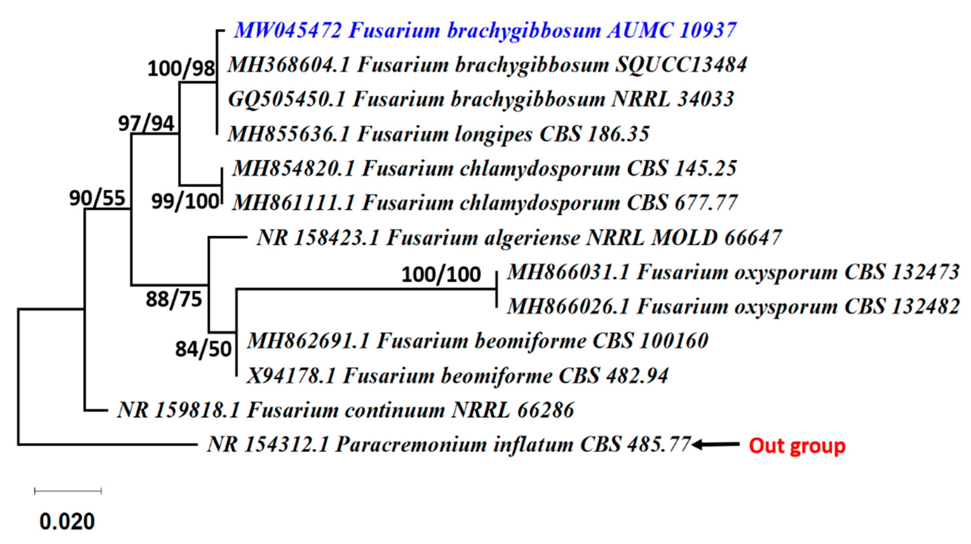 Jof 07 00471 g003 Jof 07 00471 g003