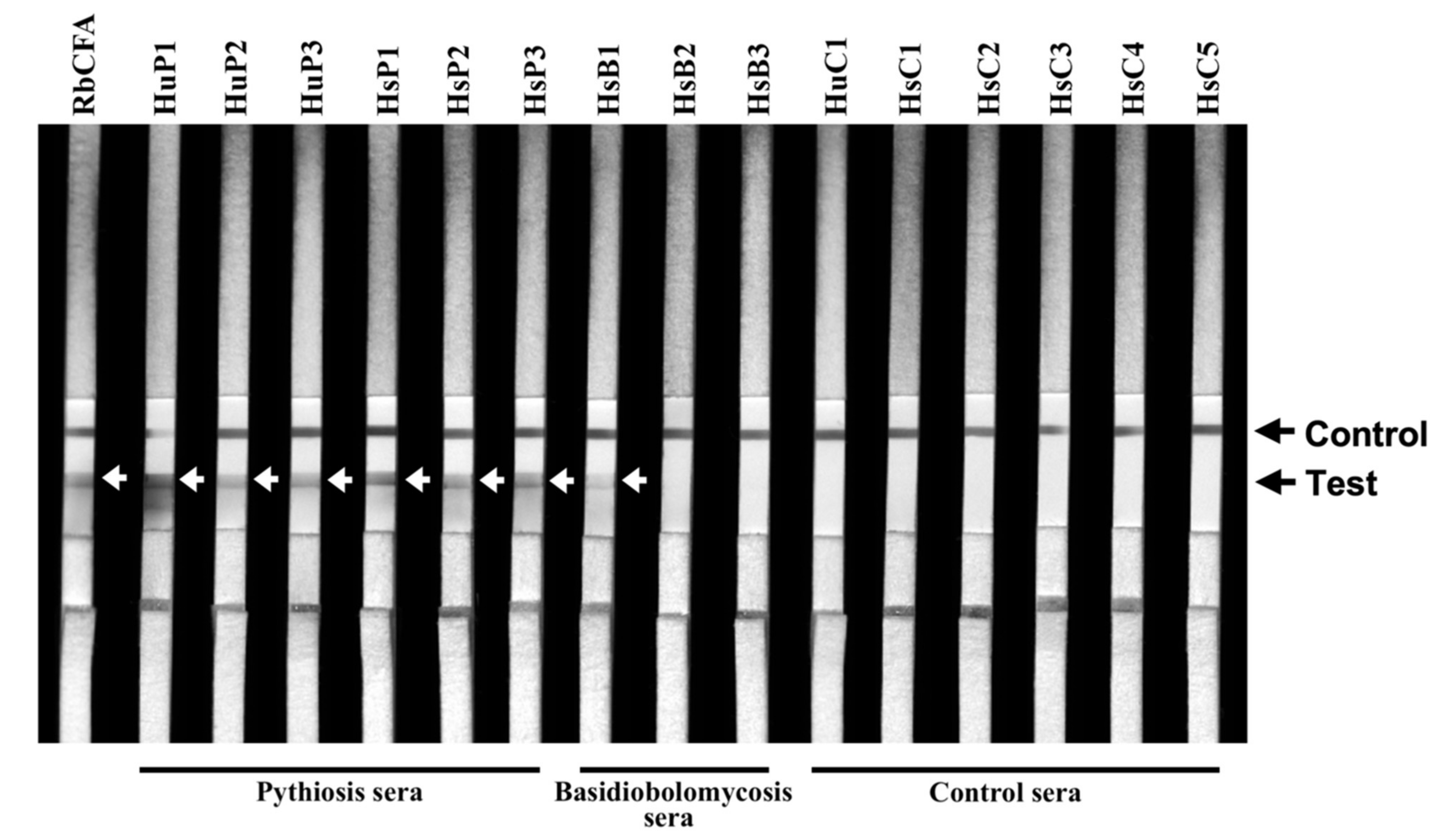 Jof 07 00474 g002 Jof 07 00474 g002