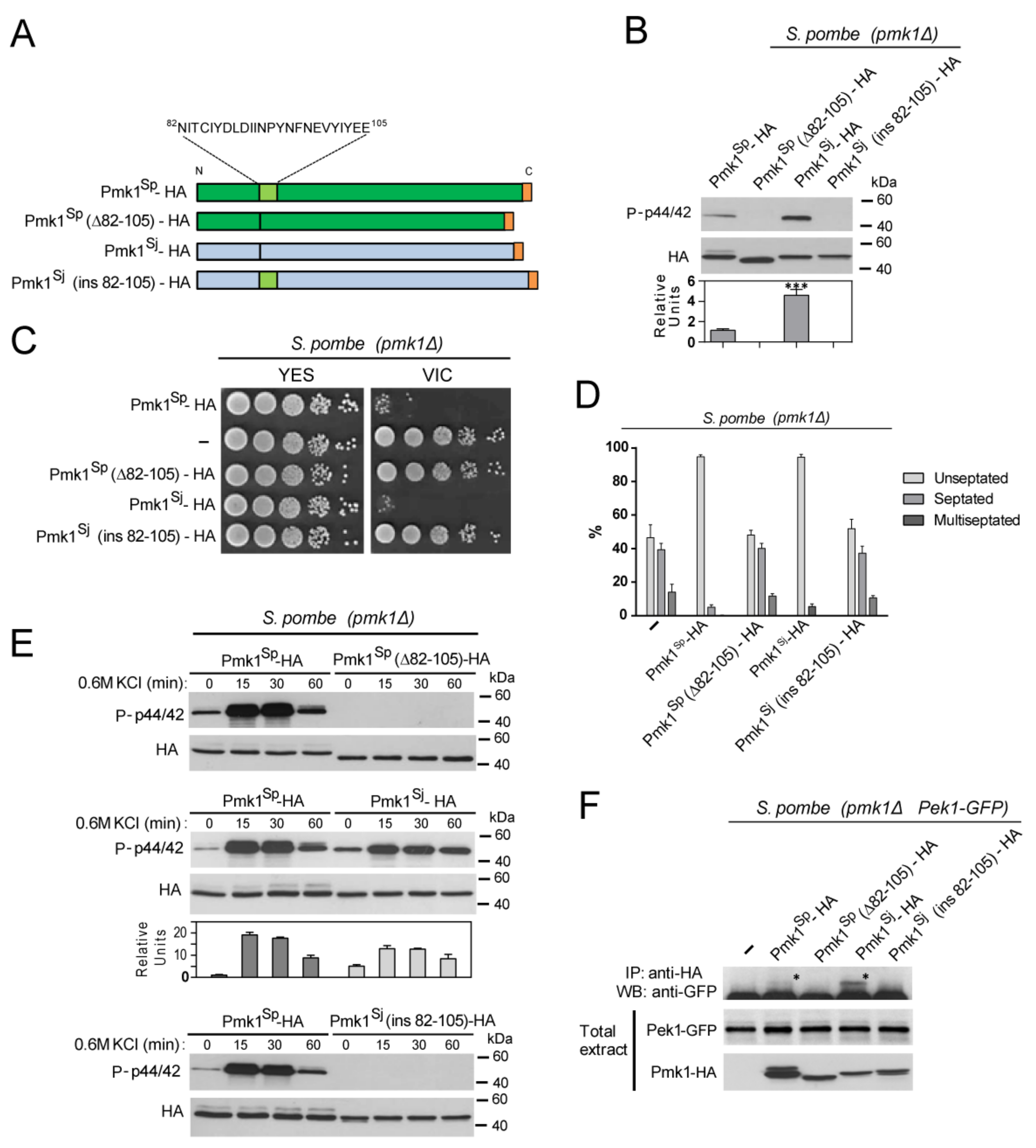 Jof 07 00482 g003 Jof 07 00482 g003