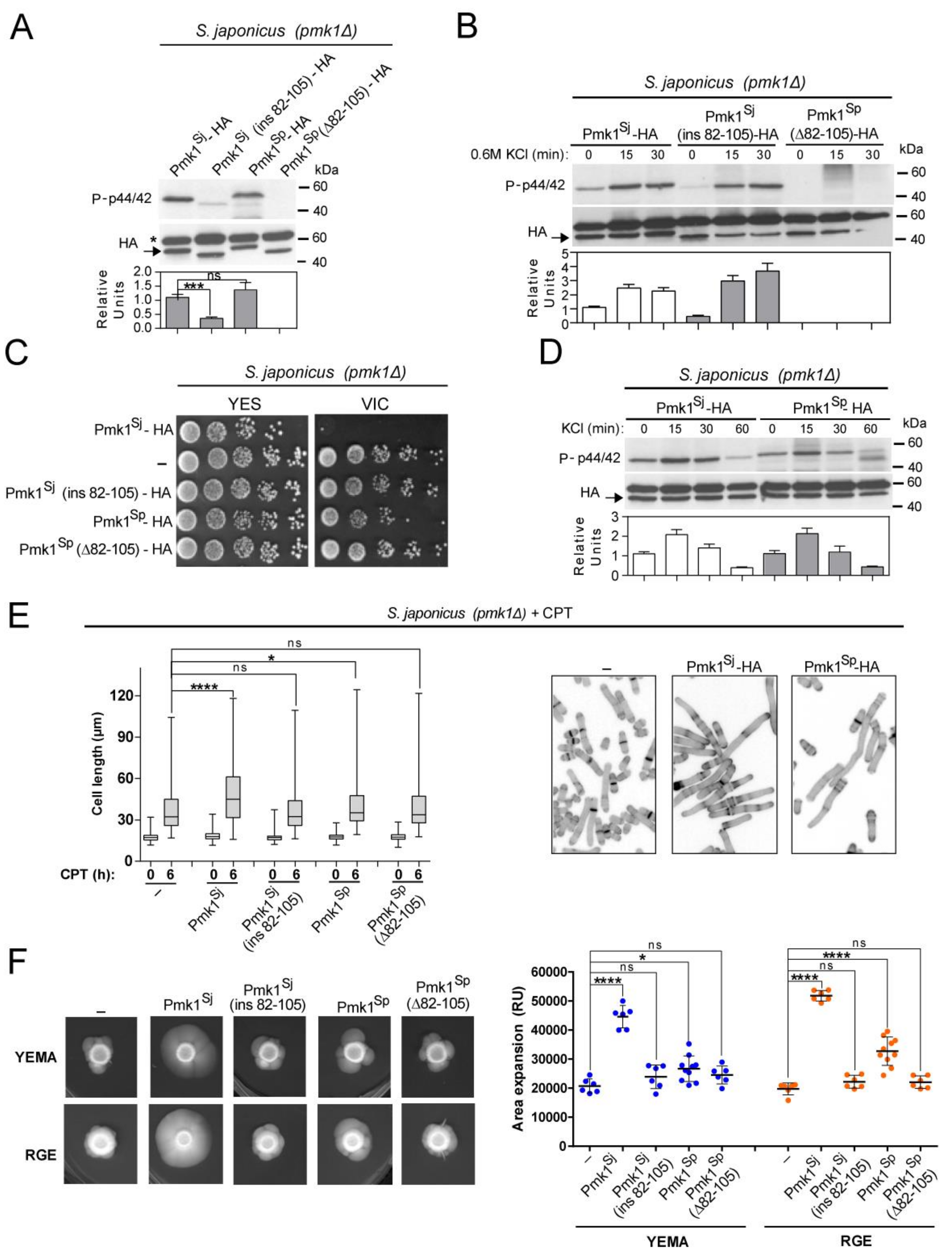 Jof 07 00482 g004 Jof 07 00482 g004