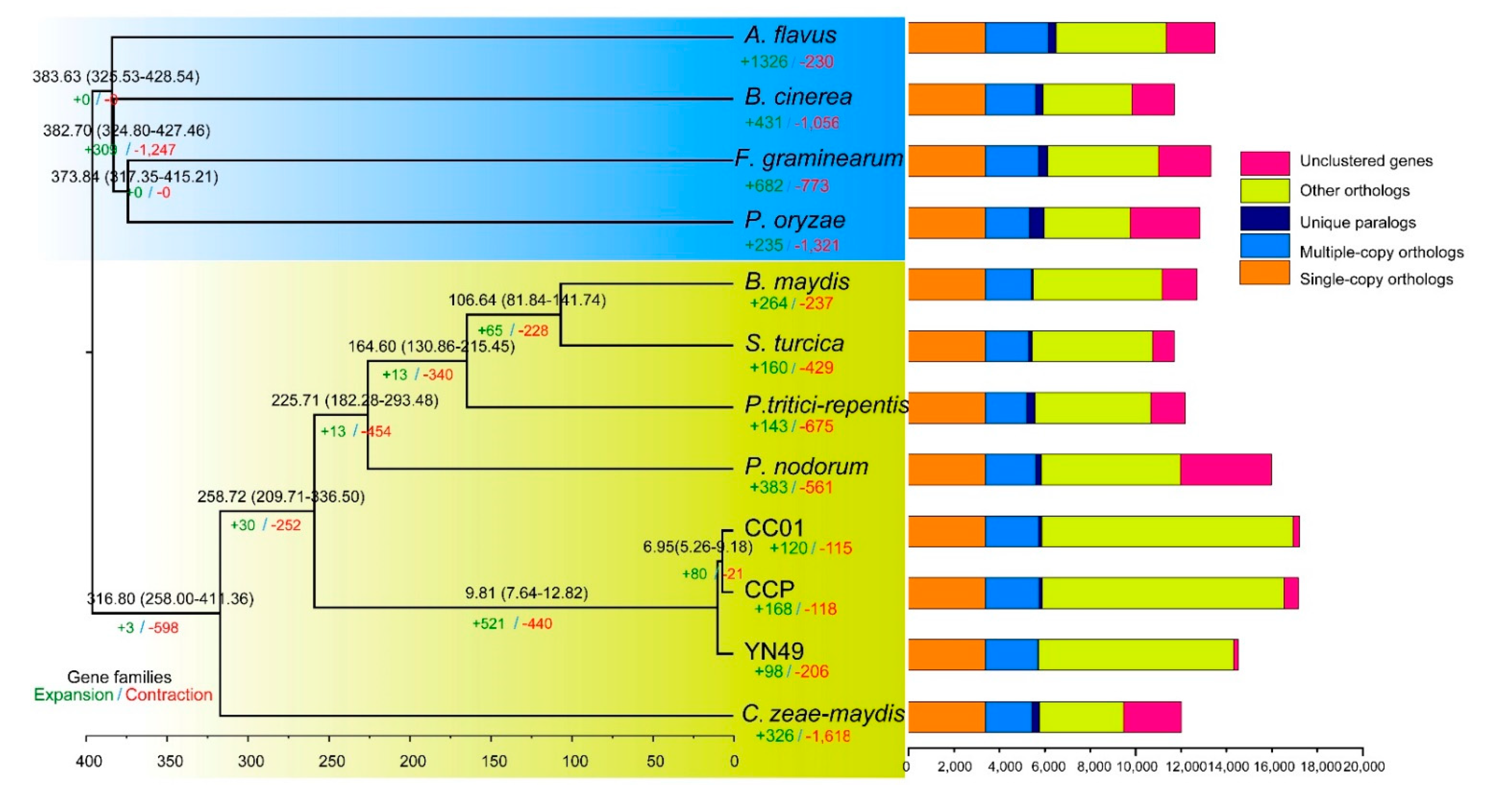 Jof 07 00485 g002 Jof 07 00485 g002