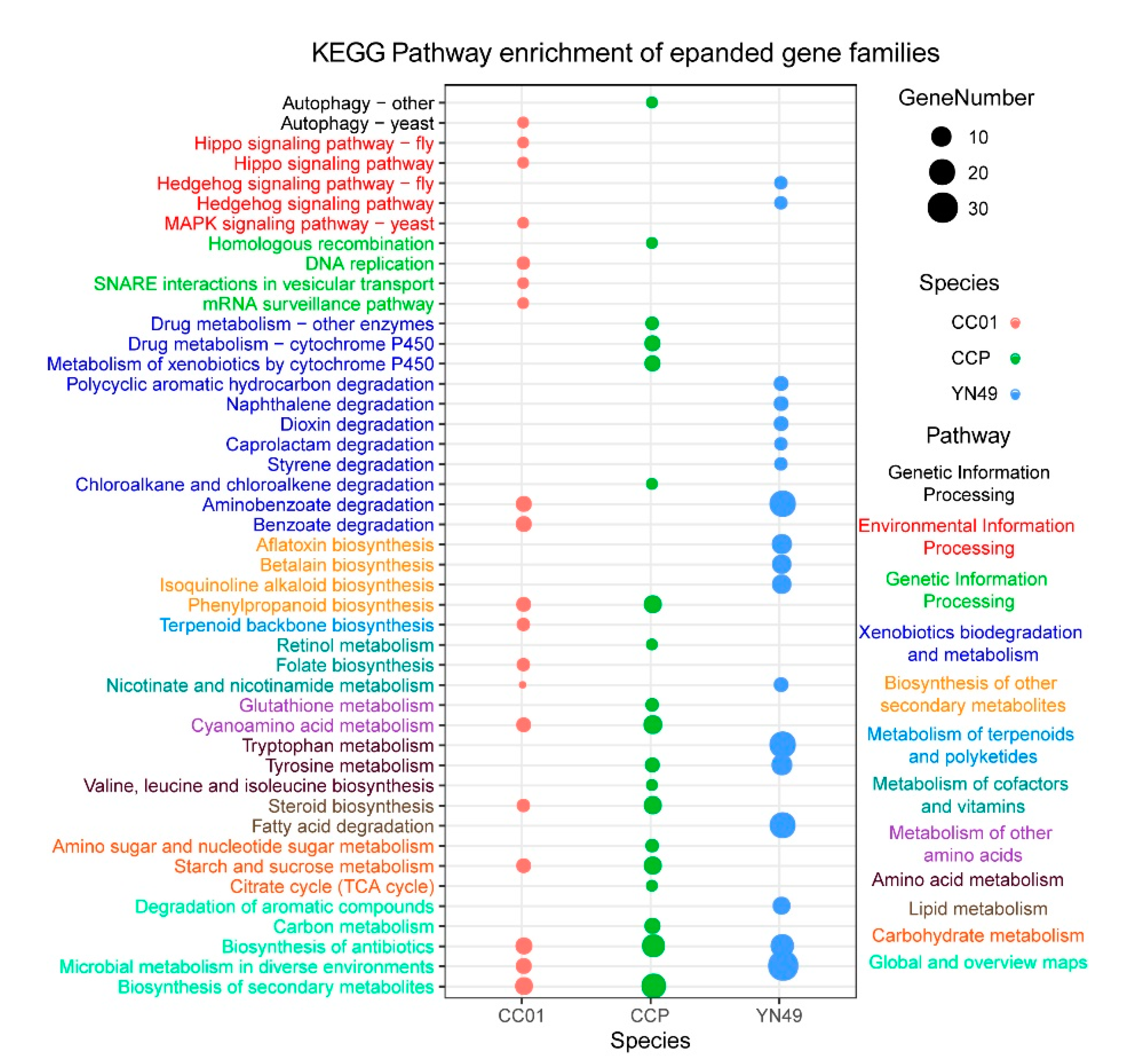 Jof 07 00485 g003 Jof 07 00485 g003