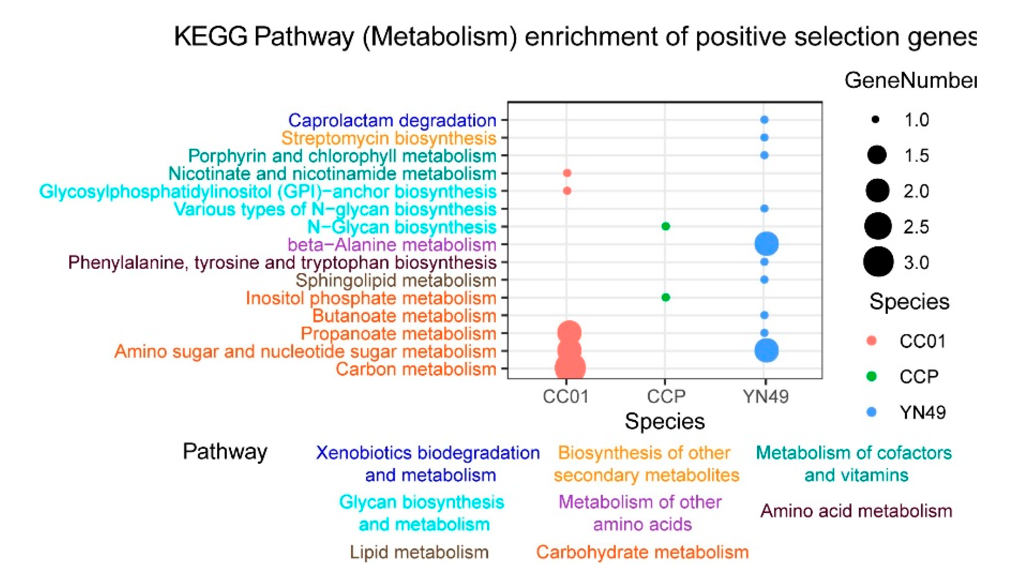 Jof 07 00485 g004 Jof 07 00485 g004