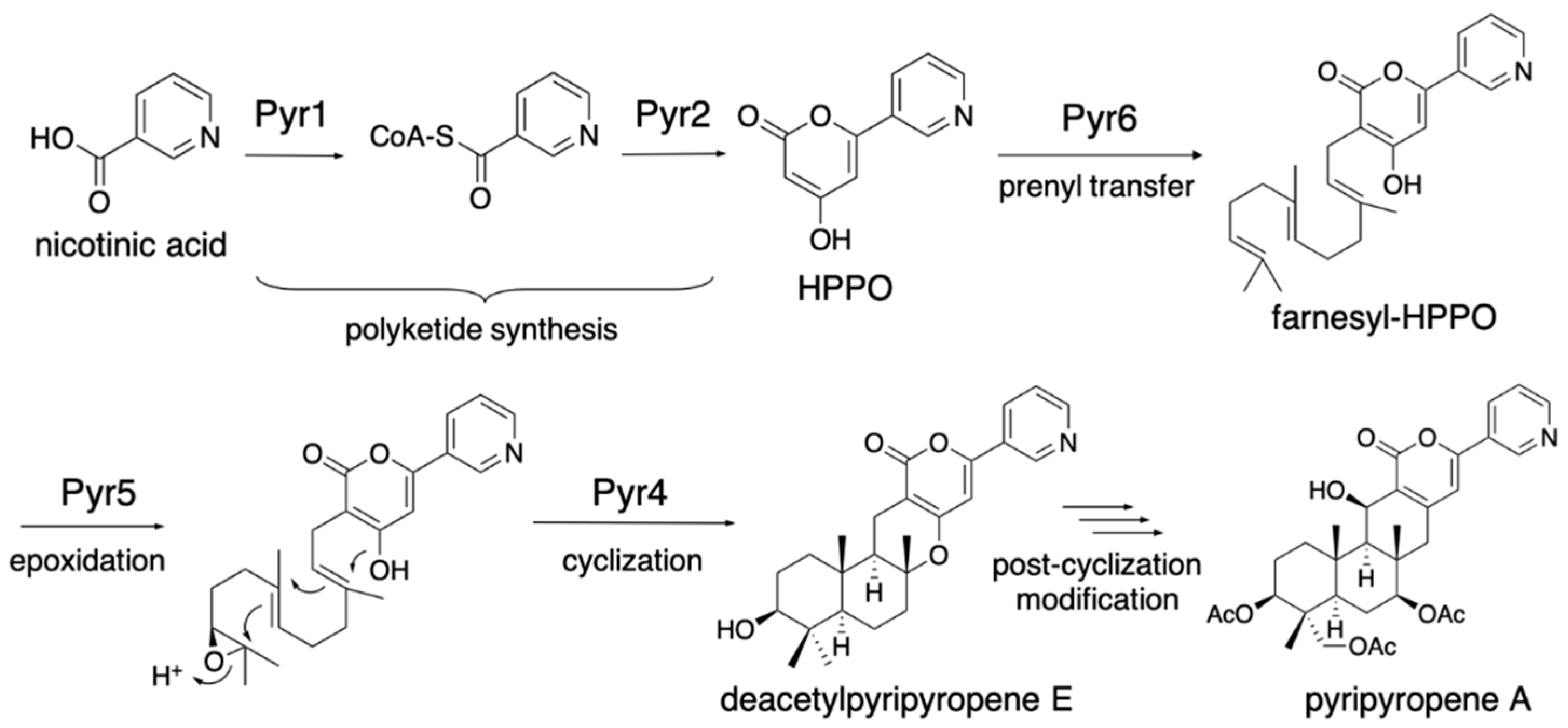 Jof 07 00486 g002 Jof 07 00486 g002