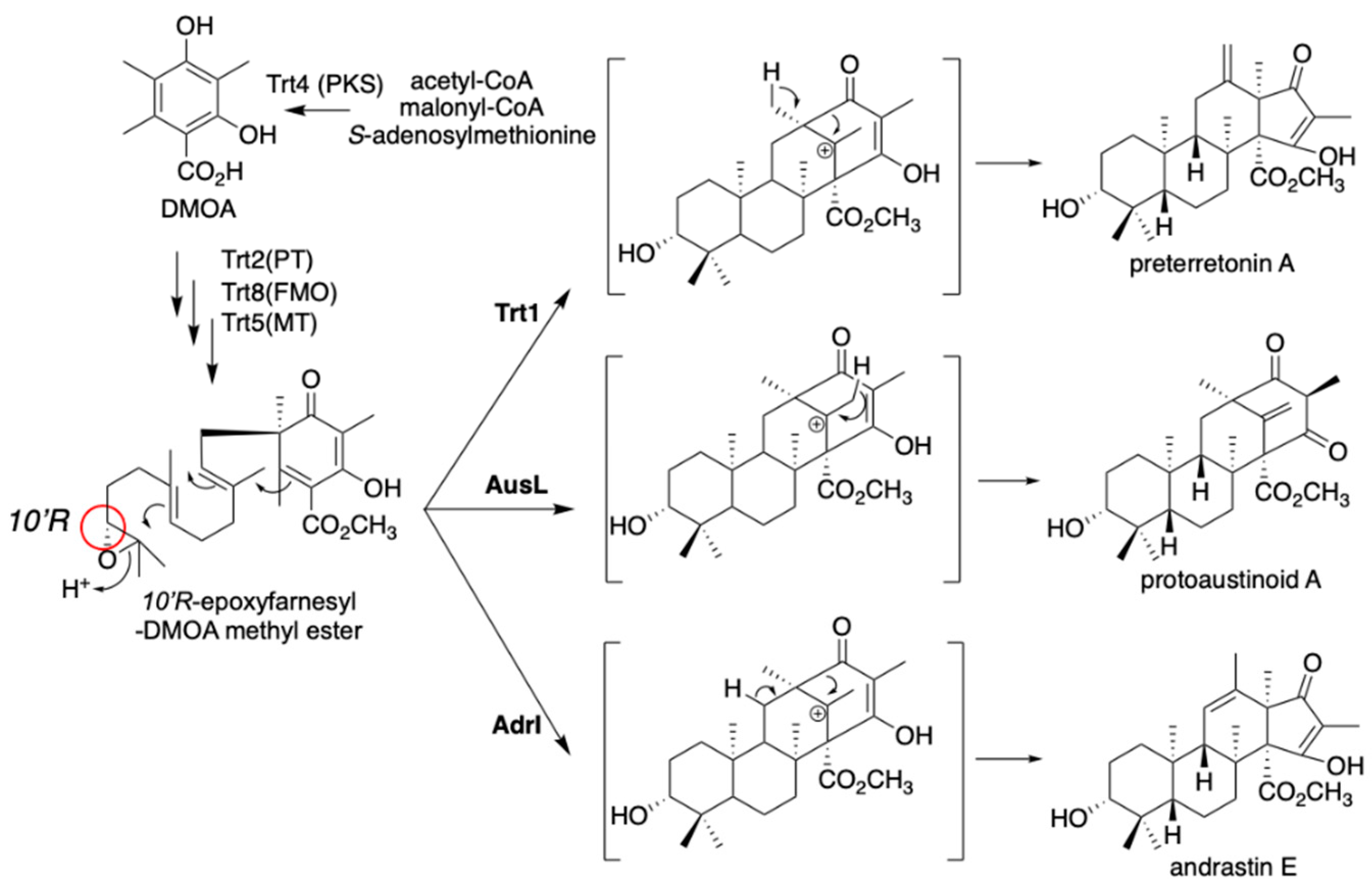 Jof 07 00486 g004 Jof 07 00486 g004