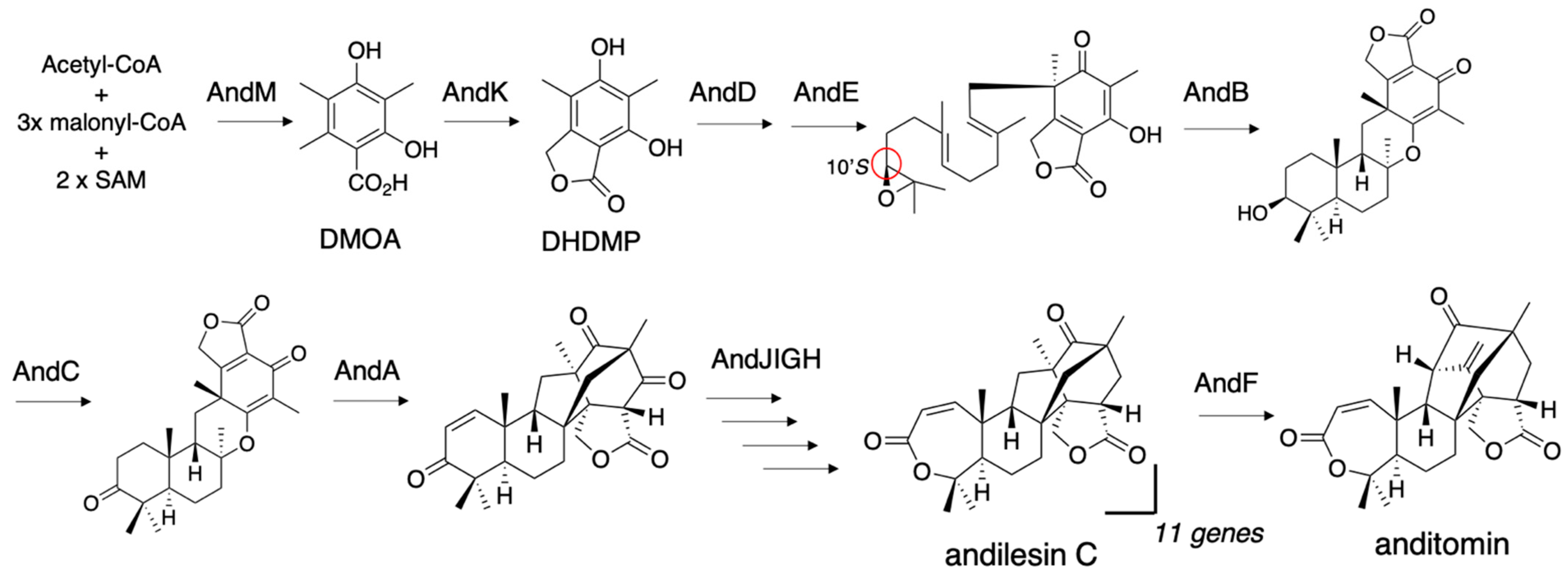 Jof 07 00486 g005 Jof 07 00486 g005