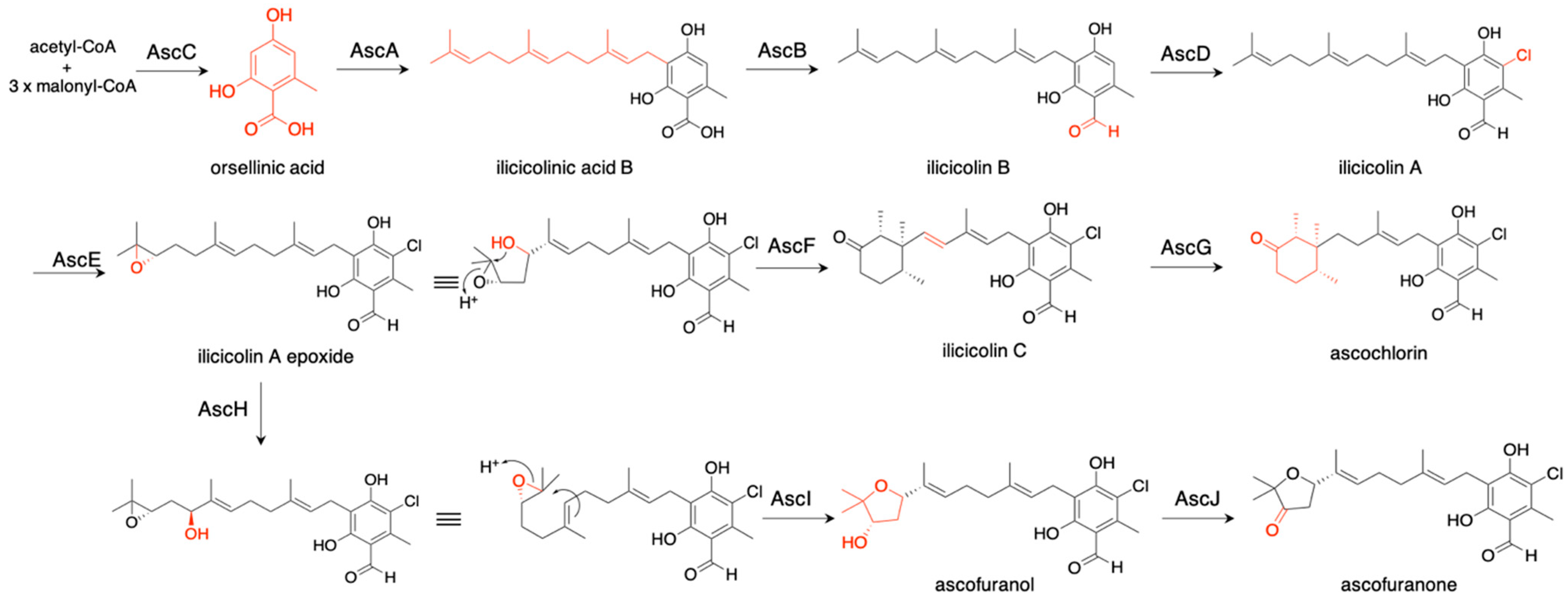 Jof 07 00486 g007 Jof 07 00486 g007